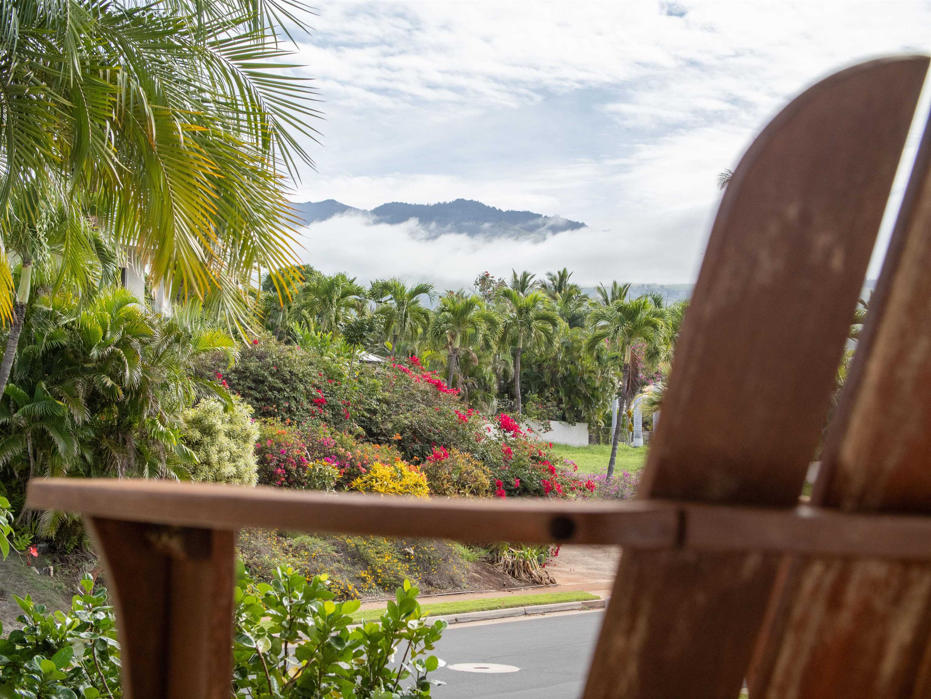 212  Ikea Kai Pl Waileakialoa, Wailea/Makena home - photo 2 of 50