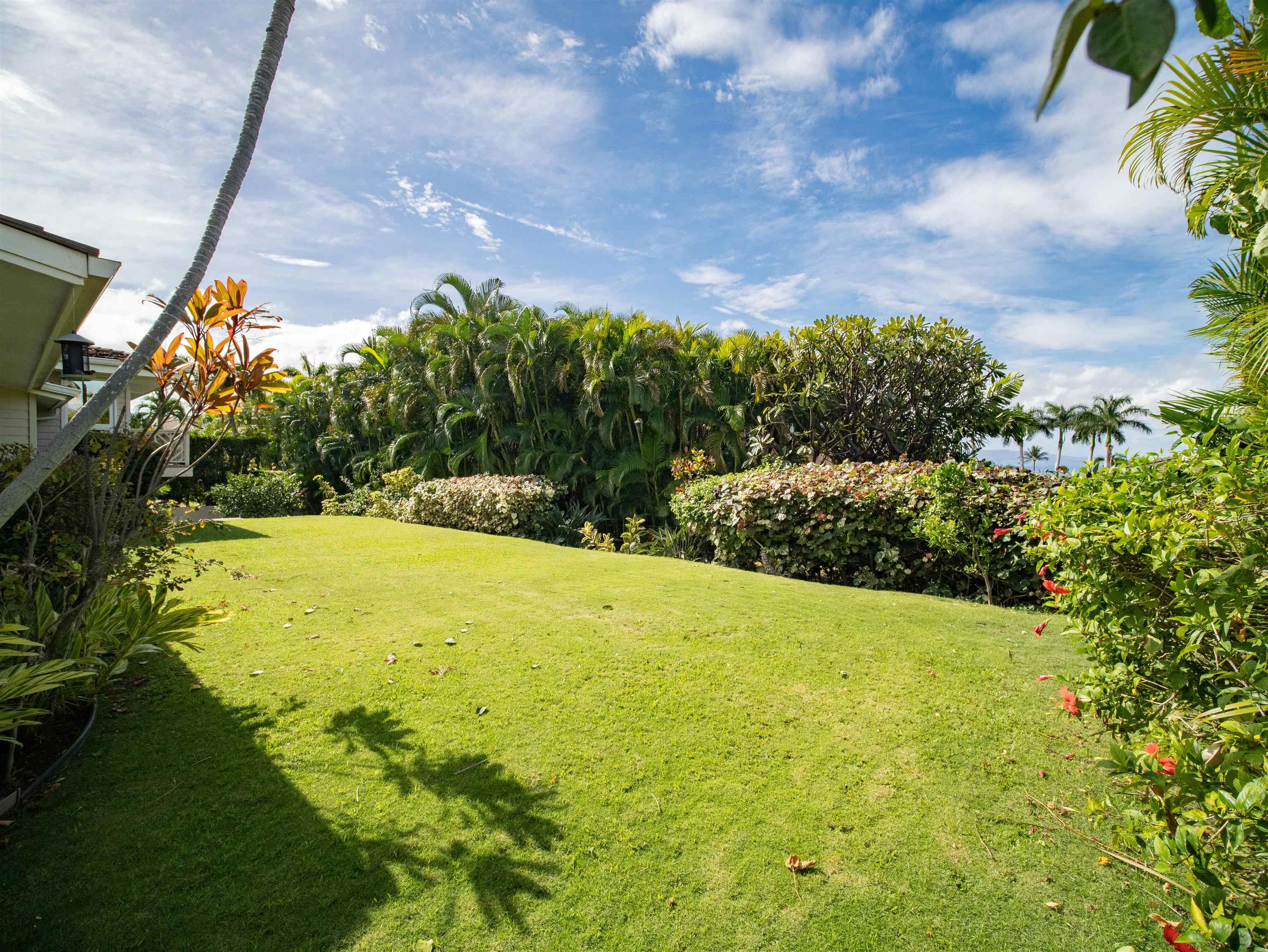 212  Ikea Kai Pl Waileakialoa, Wailea/Makena home - photo 19 of 50