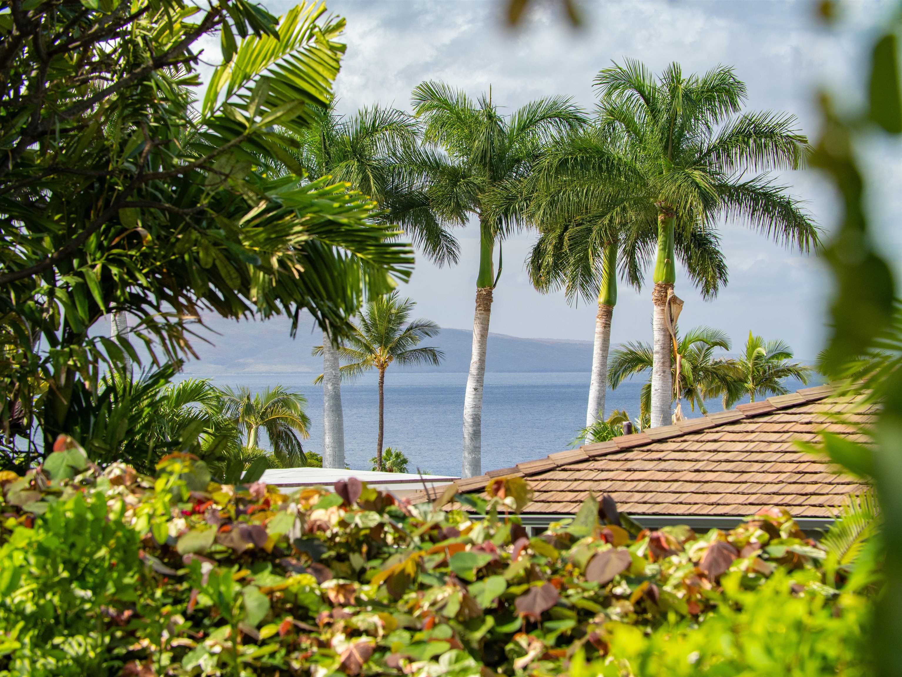 212  Ikea Kai Pl Waileakialoa, Wailea/Makena home - photo 20 of 50