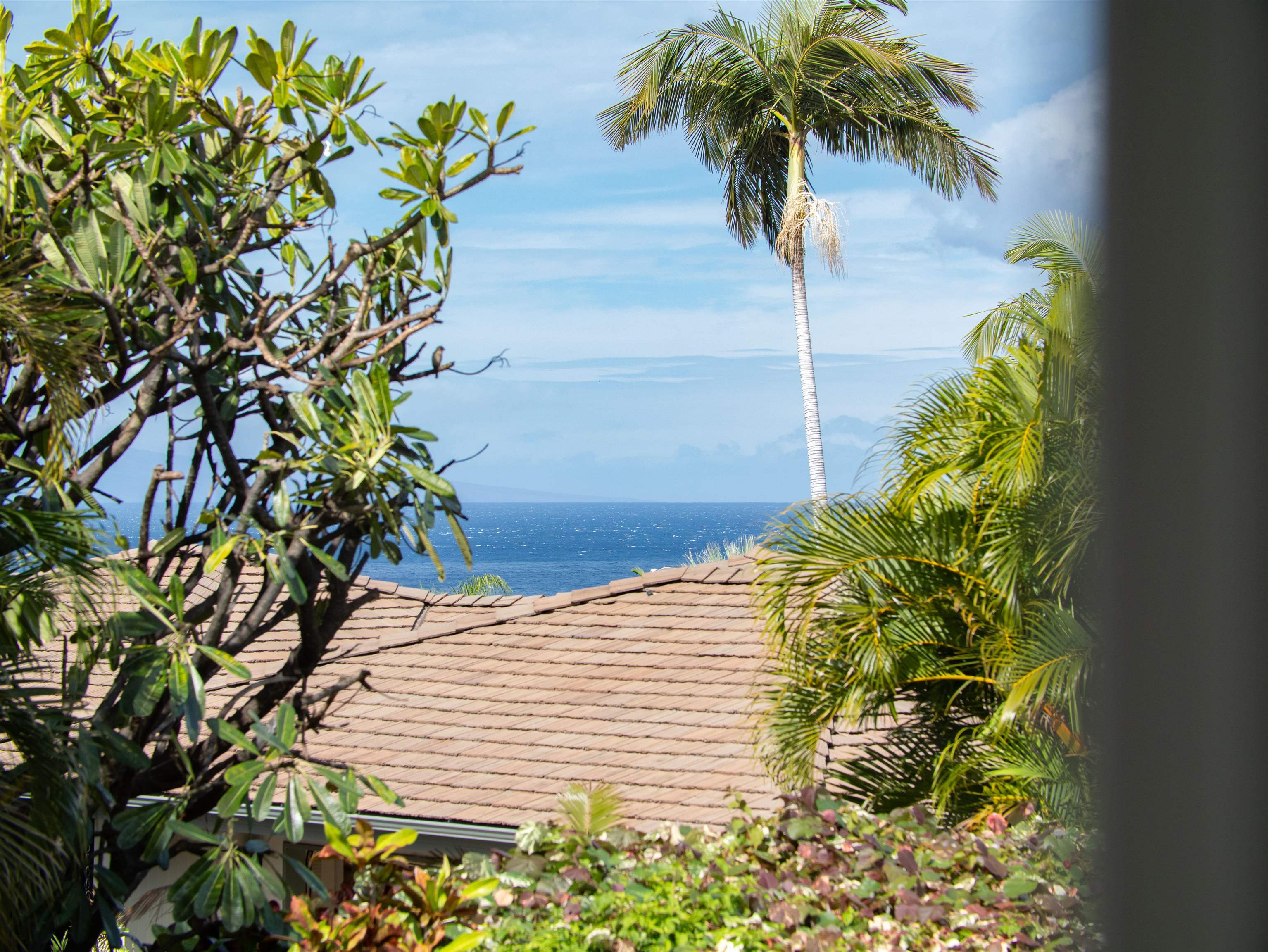 212  Ikea Kai Pl Waileakialoa, Wailea/Makena home - photo 27 of 50