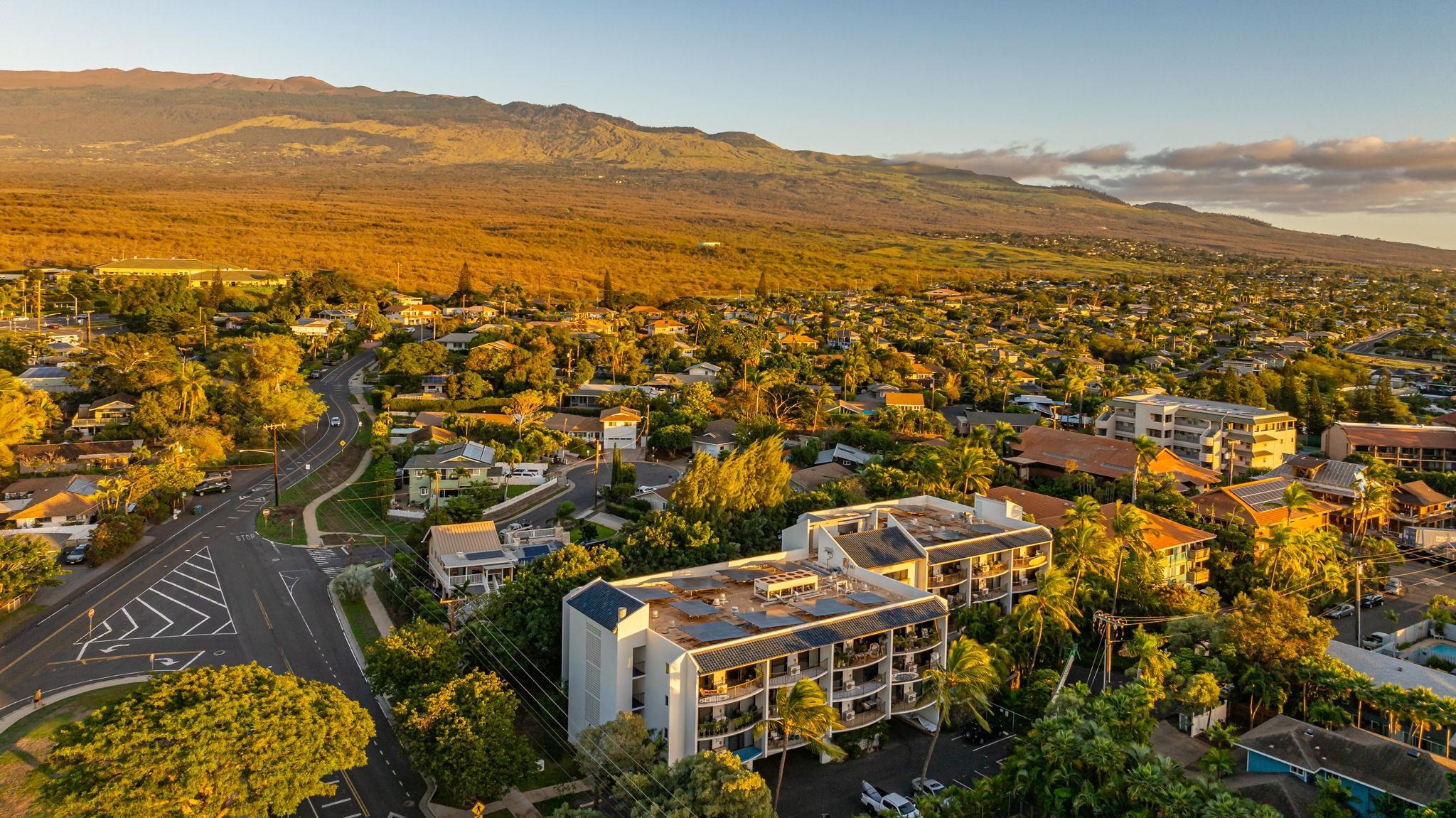 Kamoa Views condo # 206, Kihei, Hawaii - photo 48 of 50