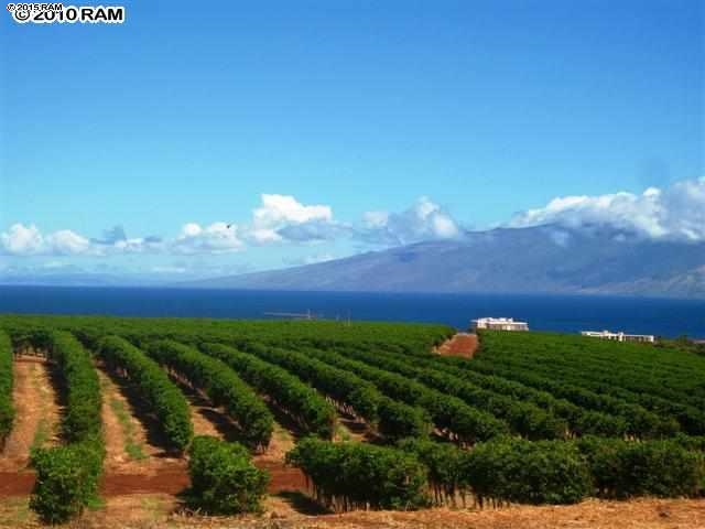 2130 Aina Mahiai St Lot 37 Lahaina, Hi vacant land for sale - photo 4 of 7