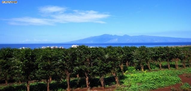 2130 Aina Mahiai St Lot 37 Lahaina, Hi vacant land for sale - photo 7 of 7