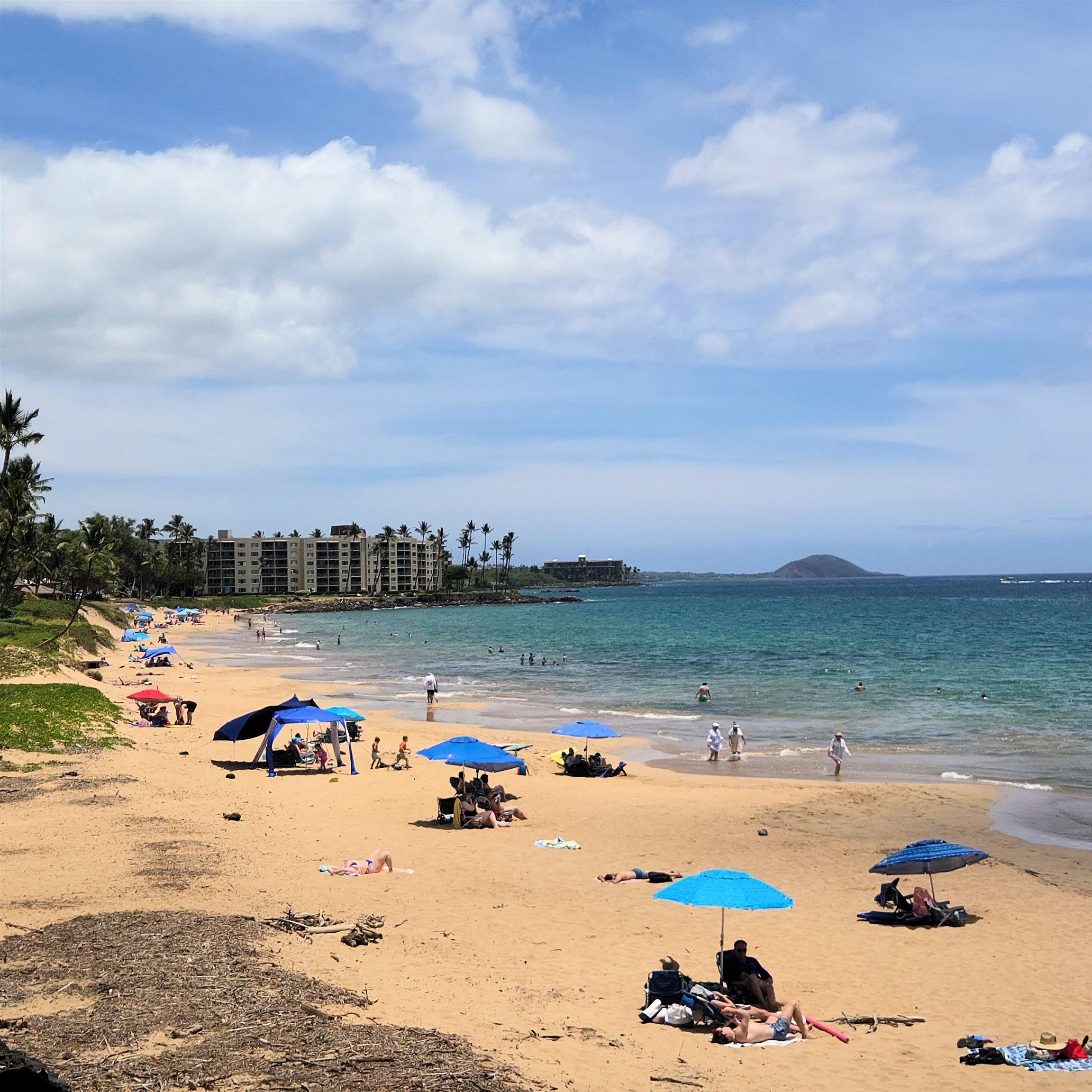 Kihei Villa condo # 211, Kihei, Hawaii - photo 14 of 14