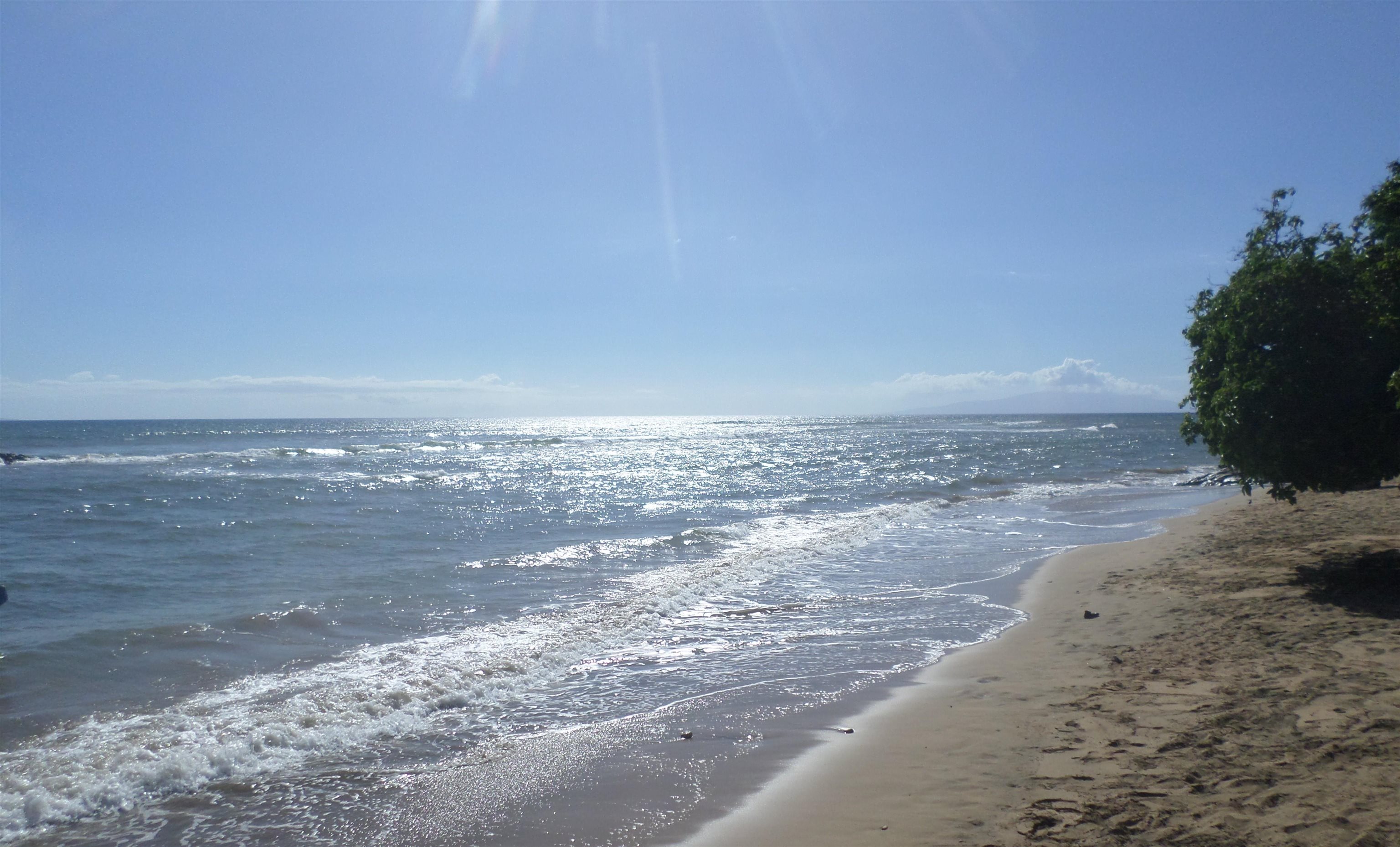 Kihei Manor condo # 102, Kihei, Hawaii - photo 23 of 24