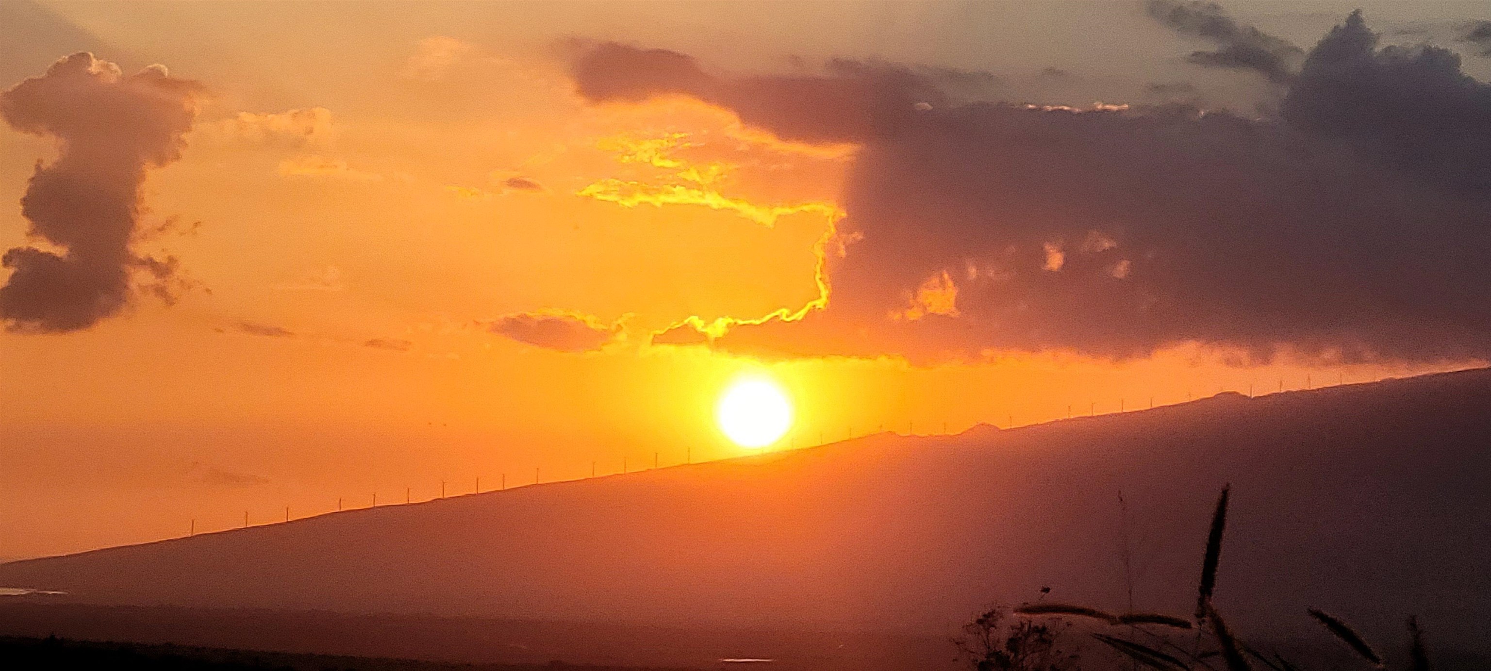 Kihei Manor condo # #201, Kihei, Hawaii - photo 16 of 16