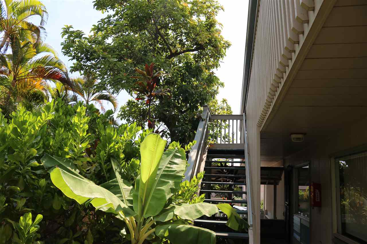 Kihei Manor condo # 203, Kihei, Hawaii - photo 15 of 16