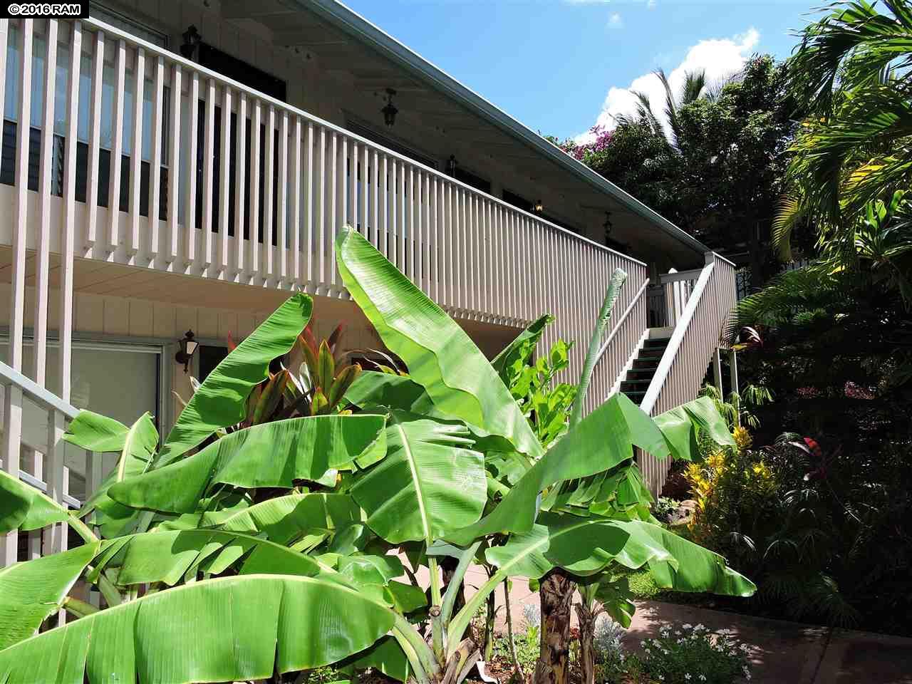 Kihei Manor condo # 205, Kihei, Hawaii - photo 18 of 20