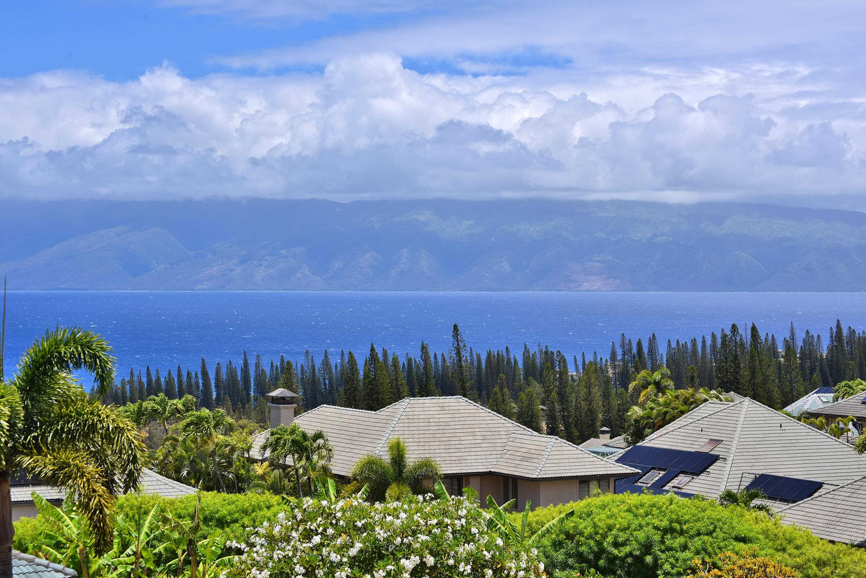 214  Crestview Rd Kapalua, Kapalua home - photo 12 of 50