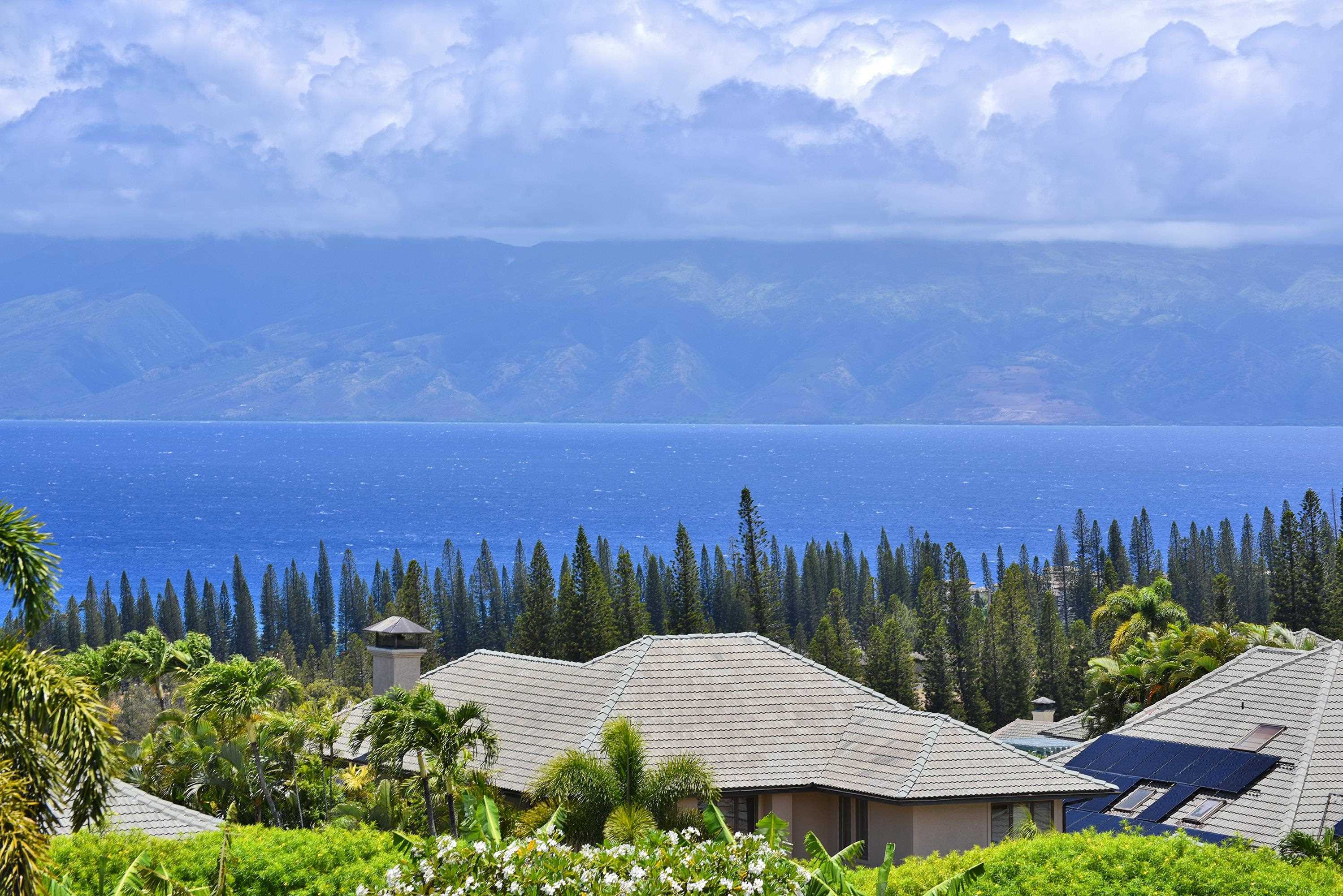 214  Crestview Rd Kapalua, Kapalua home - photo 13 of 50