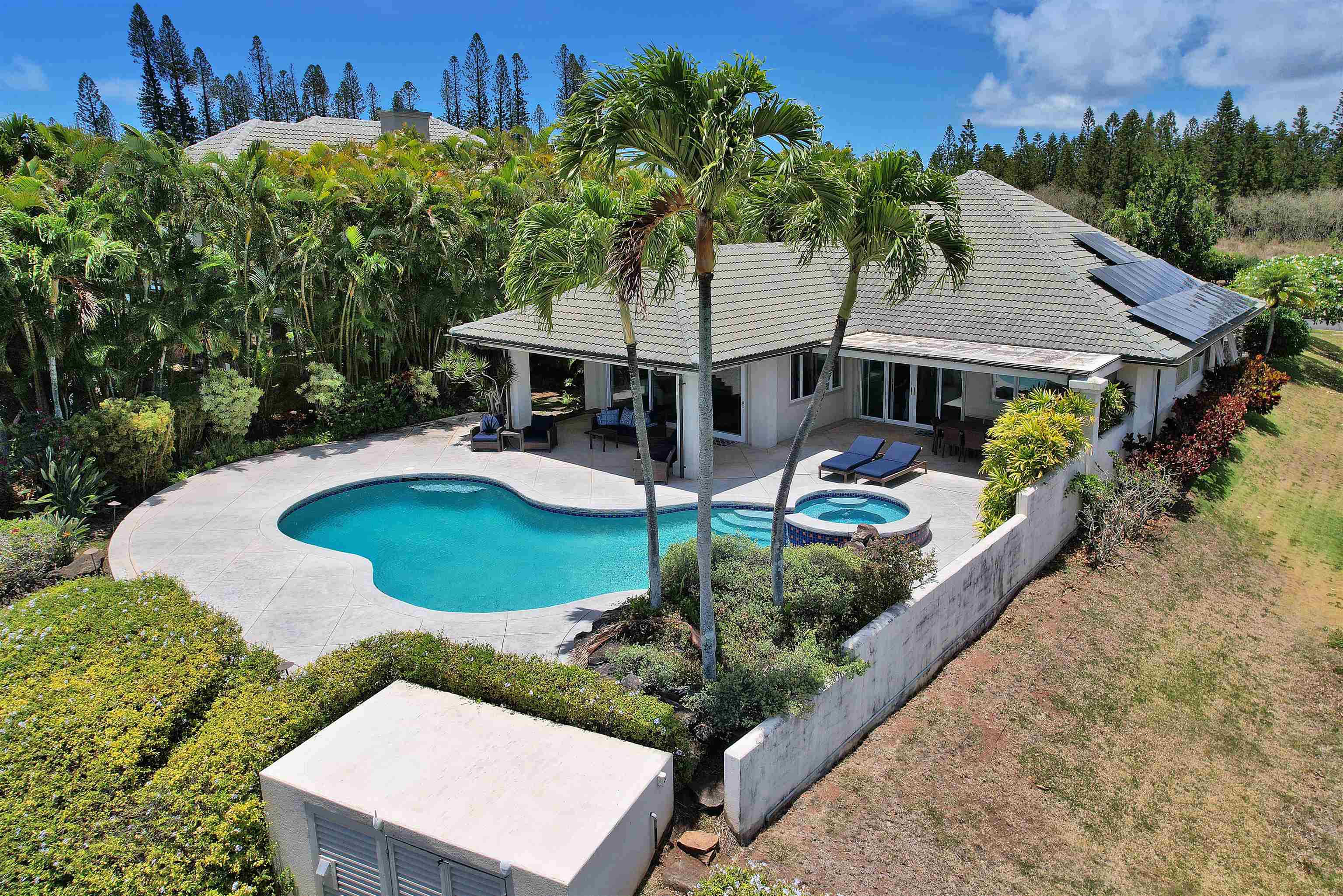 214  Crestview Rd Kapalua, Kapalua home - photo 10 of 50