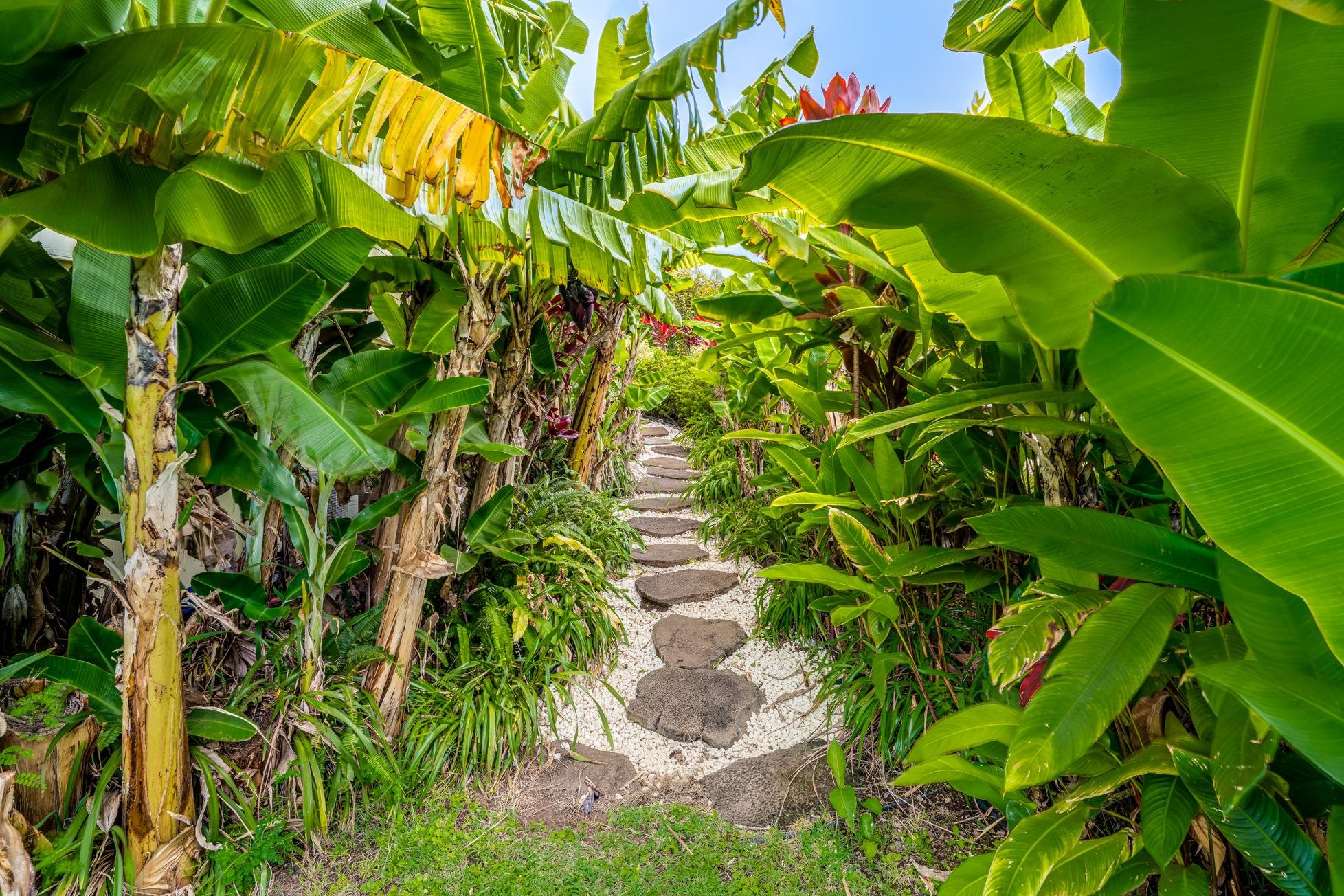 214  Kulamanu Cir , Kula/Ulupalakua/Kanaio home - photo 33 of 37