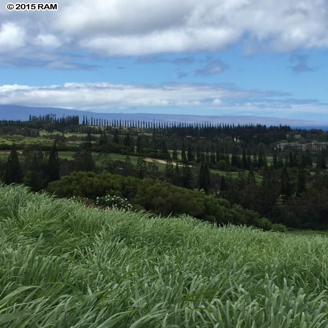 214 Plantation Club Dr  Lahaina, Hi vacant land for sale - photo 3 of 3