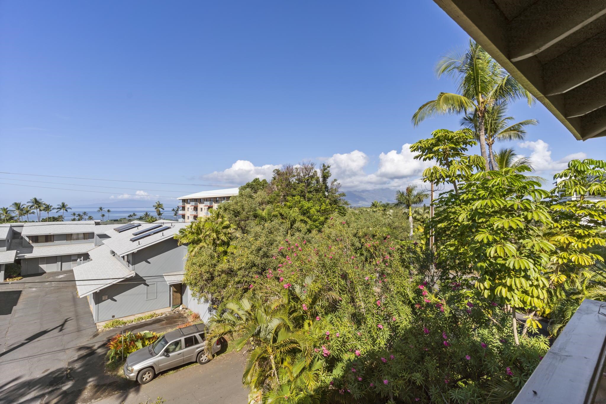 Bay Vista Apts condo # 4, Kihei, Hawaii - photo 22 of 30