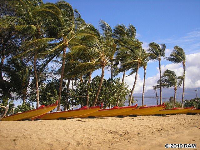 Awihi Townhouse condo # #5, Kihei, Hawaii - photo 29 of 30