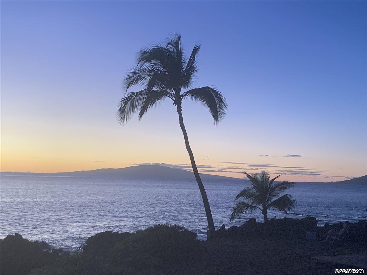 Awihi Townhouse condo # #5, Kihei, Hawaii - photo 30 of 30