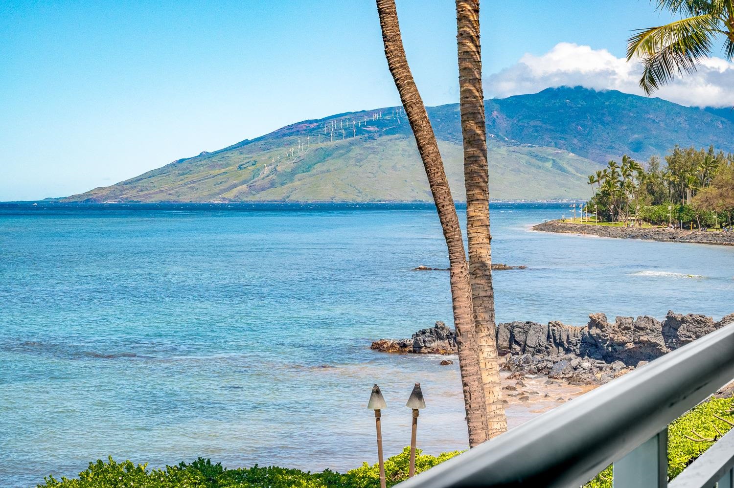 Punahoa Beach Apts condo # 204, Kihei, Hawaii - photo 26 of 42