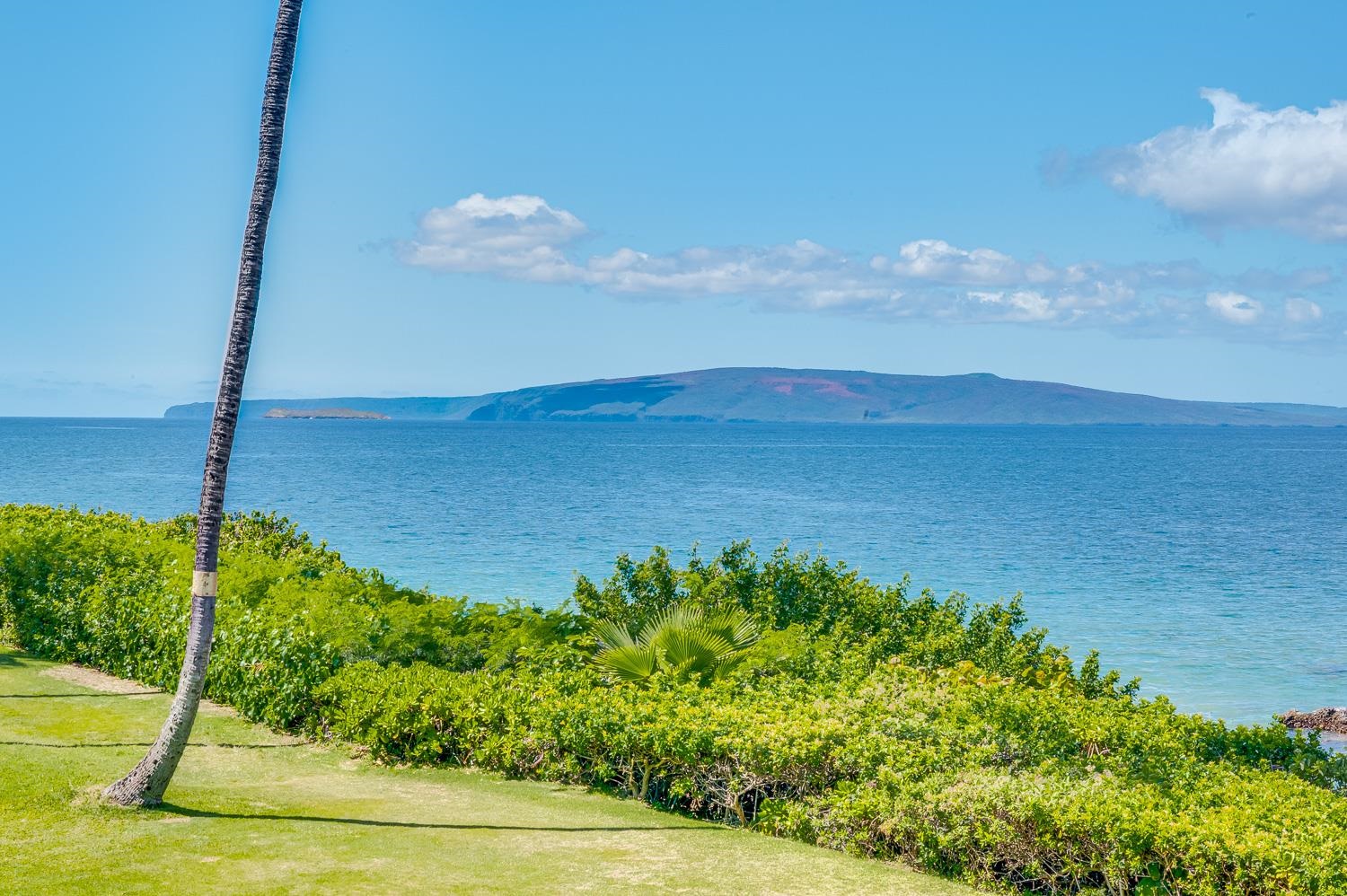 Punahoa Beach Apts condo # 204, Kihei, Hawaii - photo 27 of 42