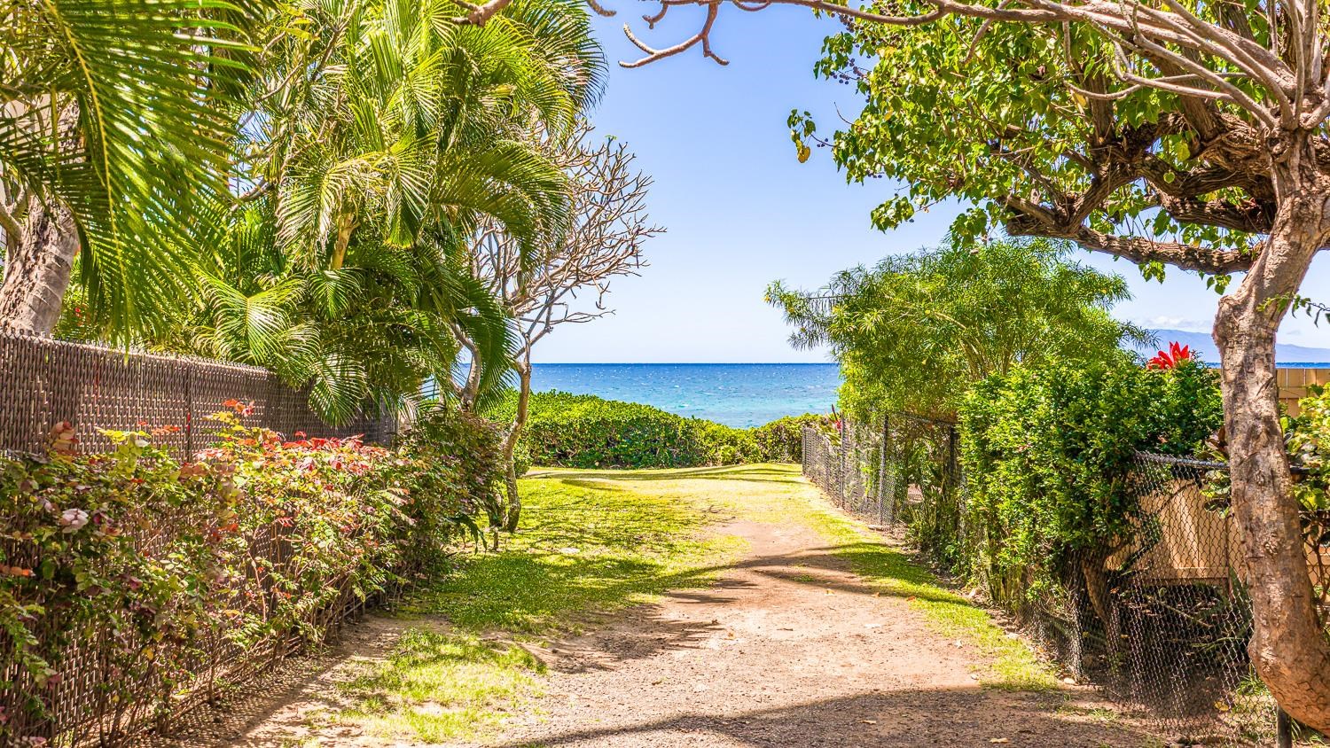 Punahoa Beach Apts condo # 204, Kihei, Hawaii - photo 31 of 42