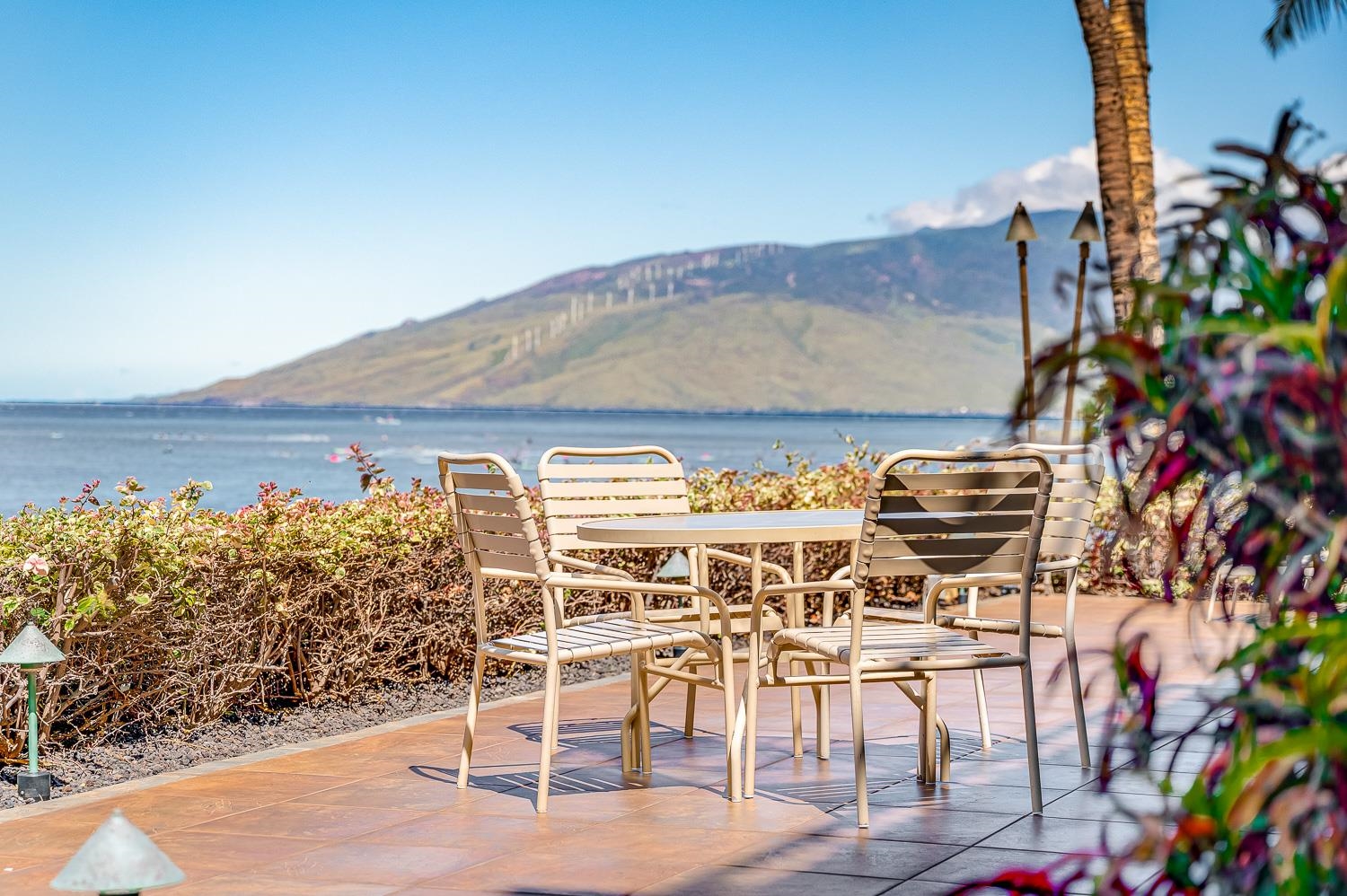 Punahoa Beach Apts condo # 204, Kihei, Hawaii - photo 32 of 42