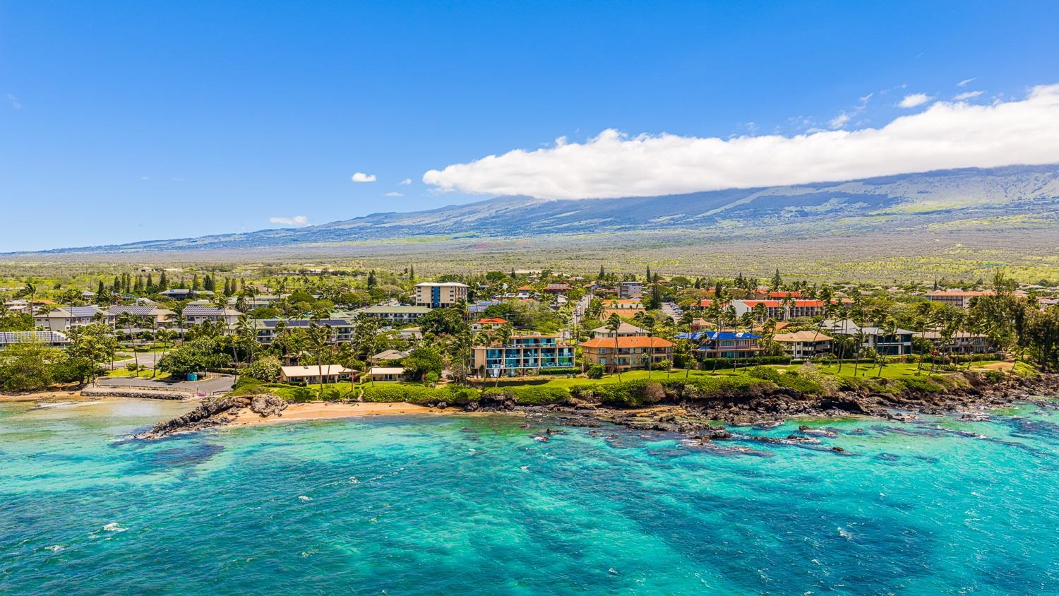 Punahoa Beach Apts condo # 204, Kihei, Hawaii - photo 35 of 42