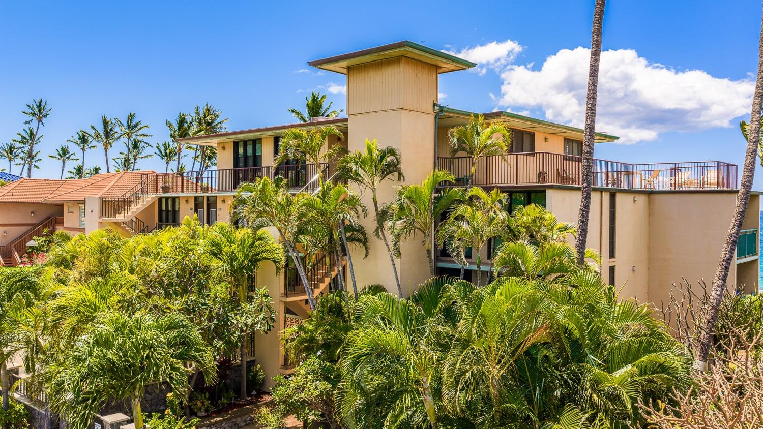 Punahoa Beach Apts condo # 204, Kihei, Hawaii - photo 36 of 42