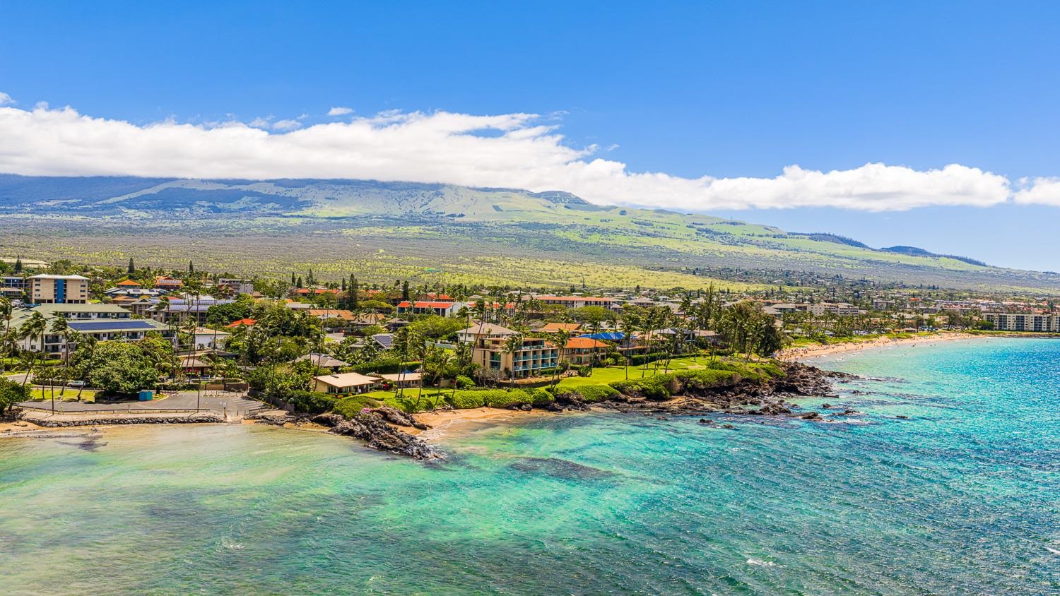 Punahoa Beach Apts condo # 204, Kihei, Hawaii - photo 39 of 42