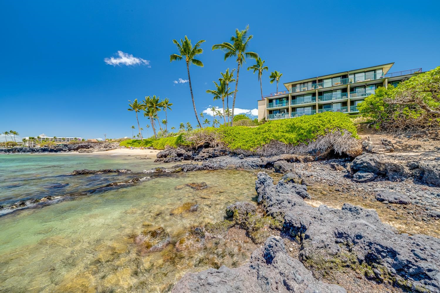 Punahoa Beach Apts condo # 302, Kihei, Hawaii - photo 35 of 48