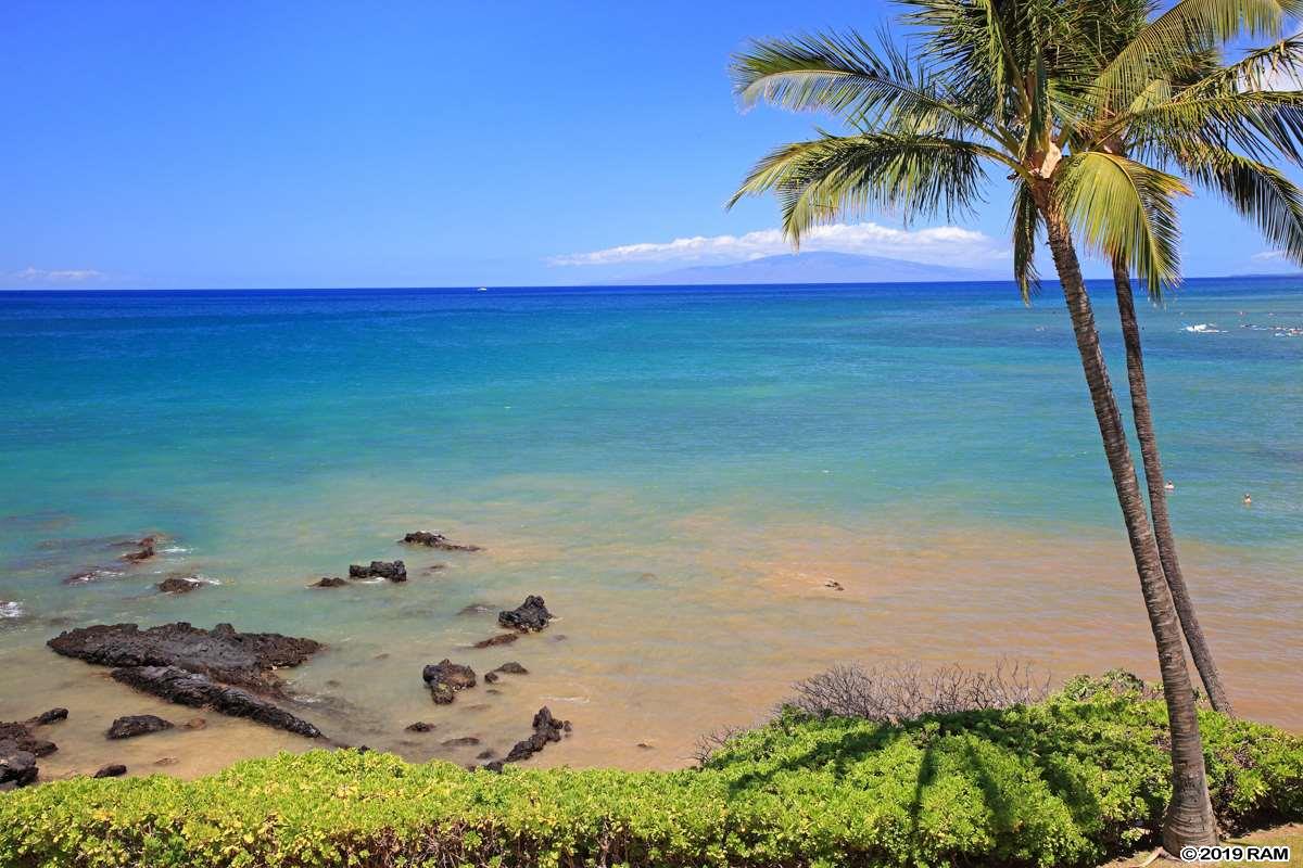 Punahoa Beach Apts condo # 303, Kihei, Hawaii - photo 25 of 25