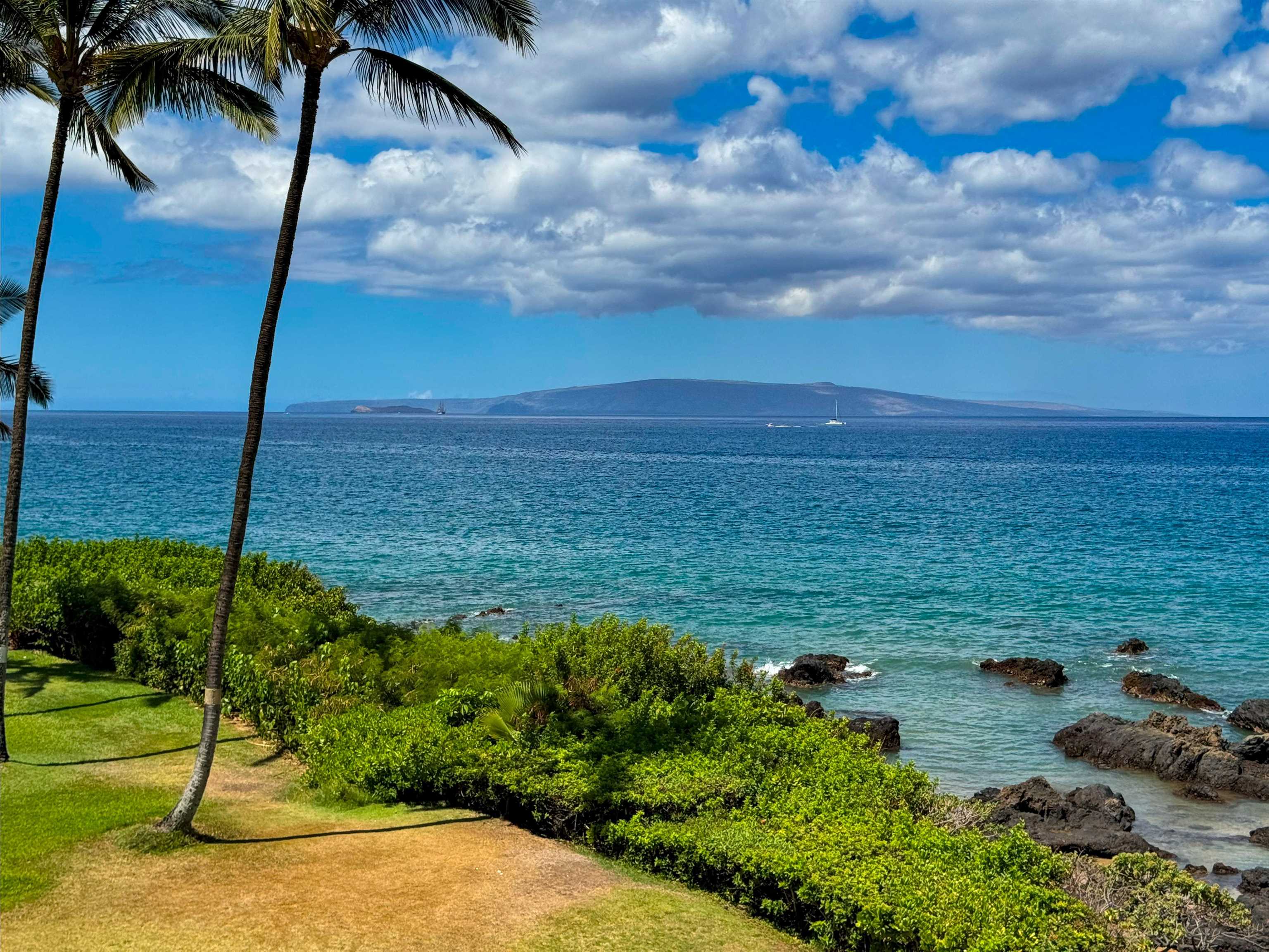 Punahoa Beach Apts condo # 304, Kihei, Hawaii - photo 29 of 44