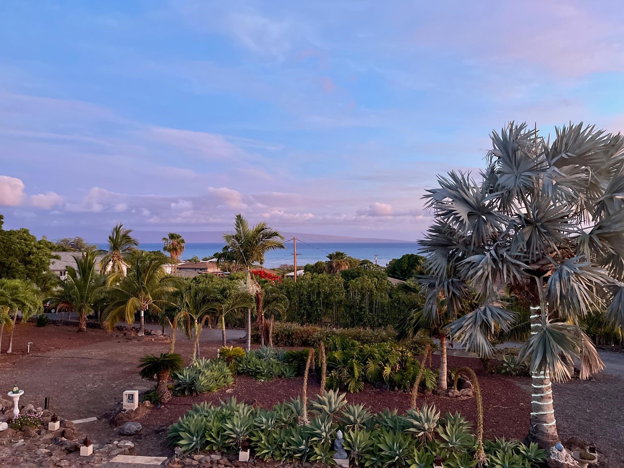 215  Aahi Pl , Molokai home - photo 44 of 47