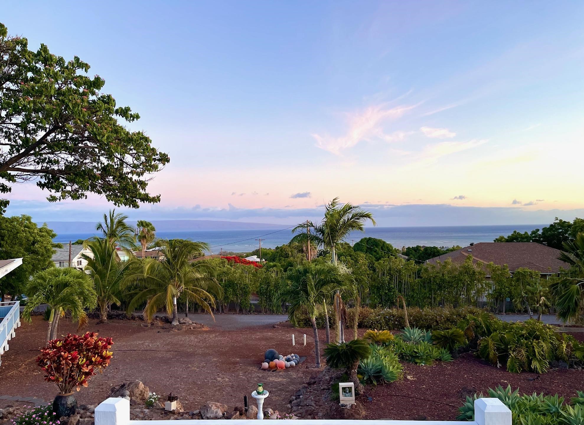 215  Aahi Pl , Molokai home - photo 45 of 47