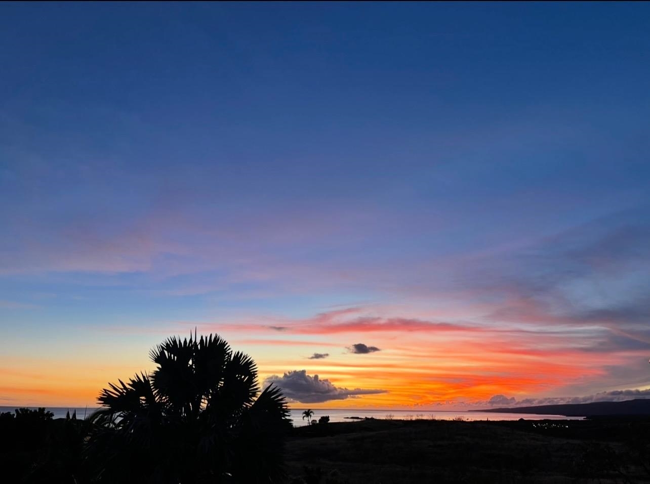 215  Aahi Pl , Molokai home - photo 47 of 47