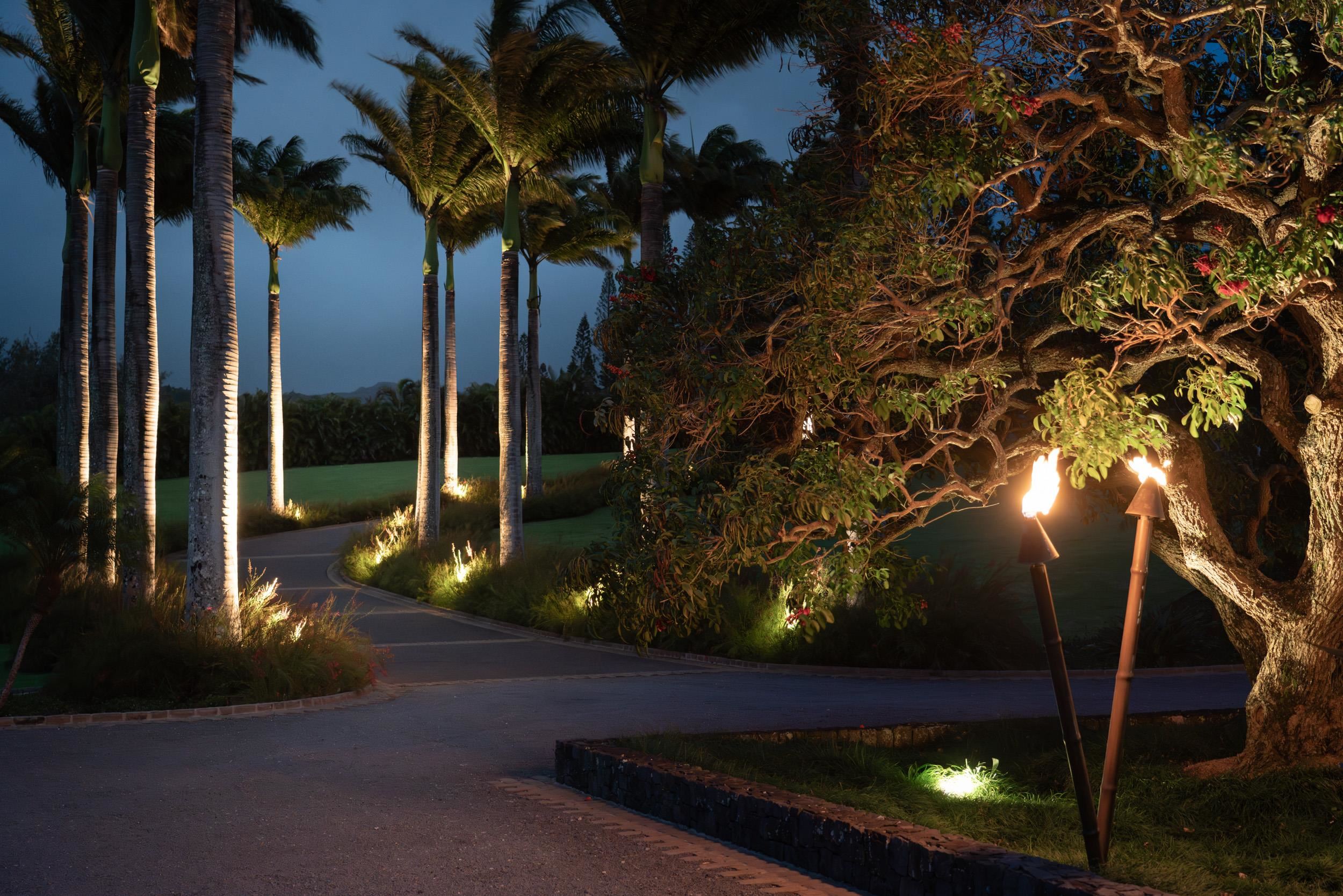 215  Plantation Club Dr Kapalua, Kapalua home - photo 37 of 50