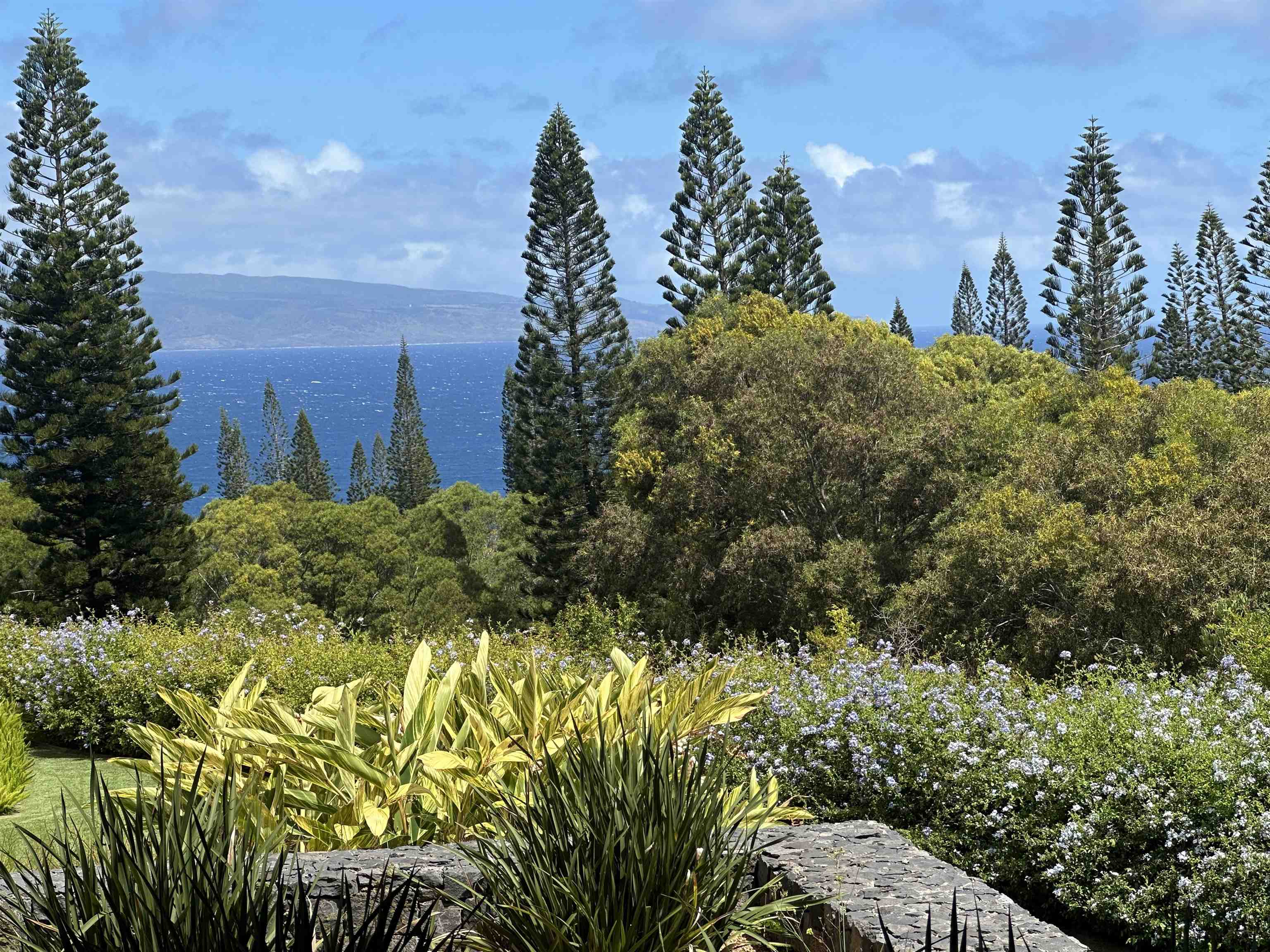 215  Plantation Club Dr Kapalua, Kapalua home - photo 44 of 50