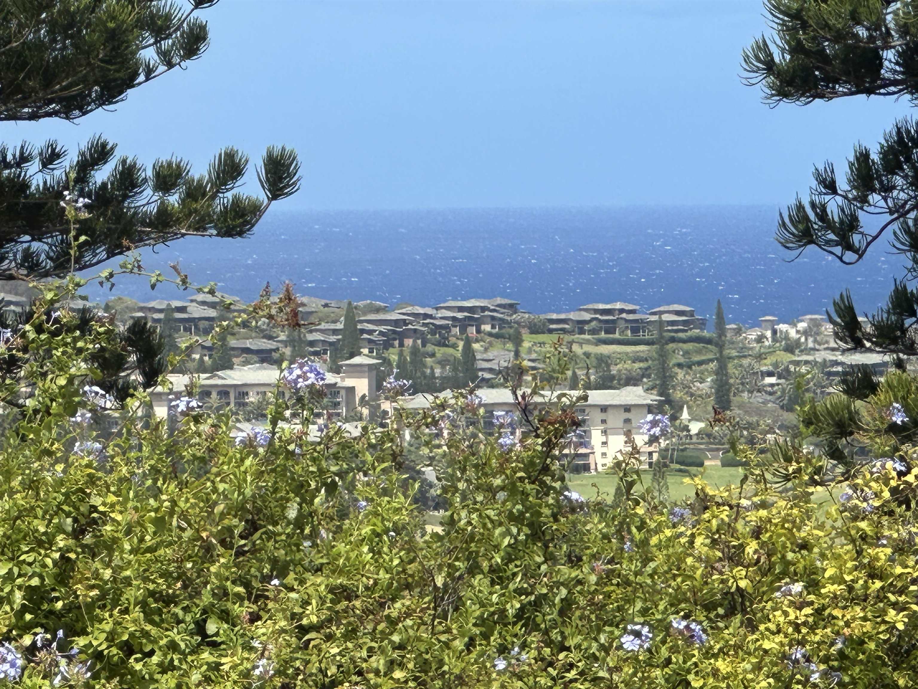 215  Plantation Club Dr Kapalua, Kapalua home - photo 45 of 50