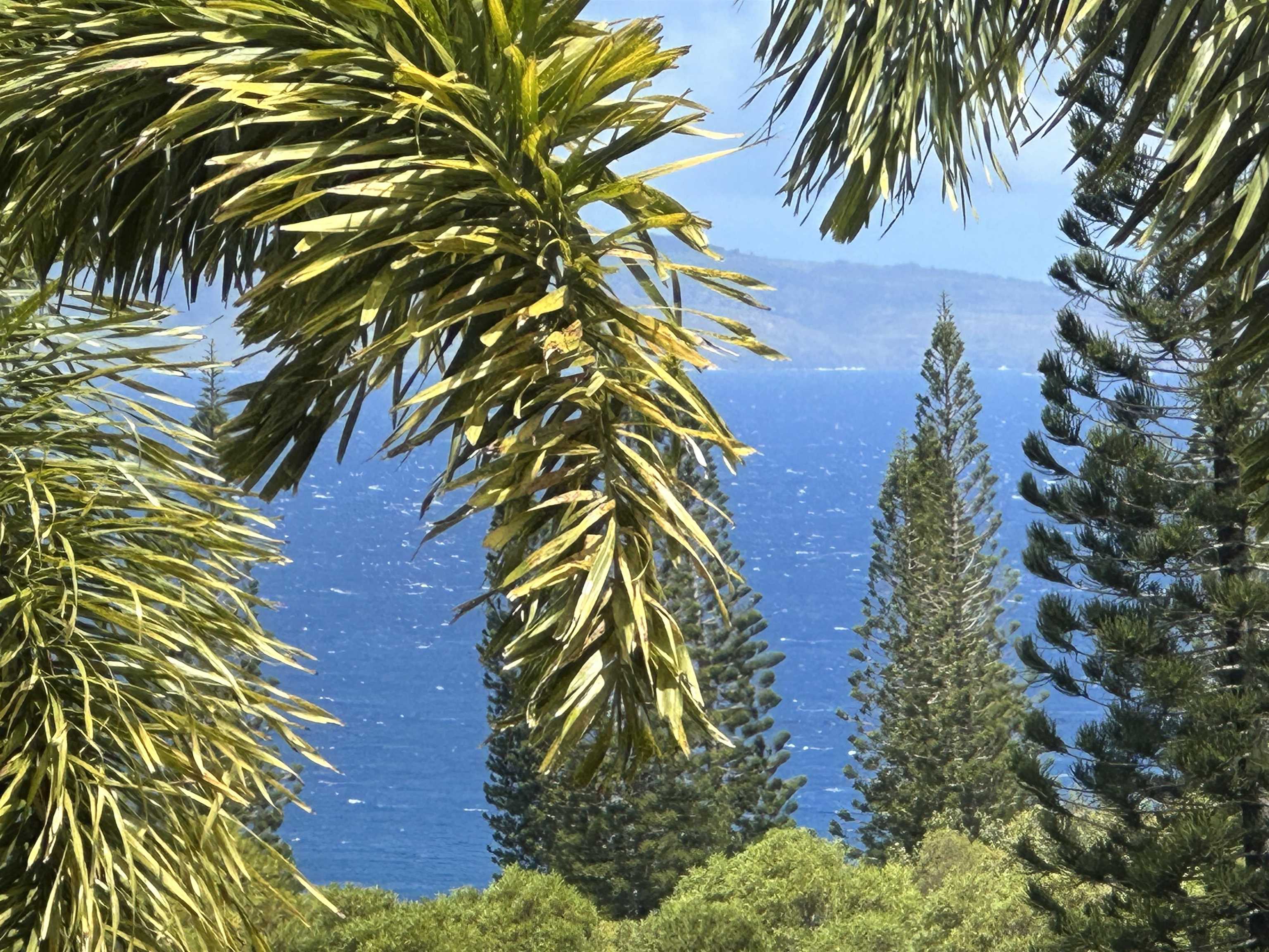 215  Plantation Club Dr Kapalua, Kapalua home - photo 46 of 50