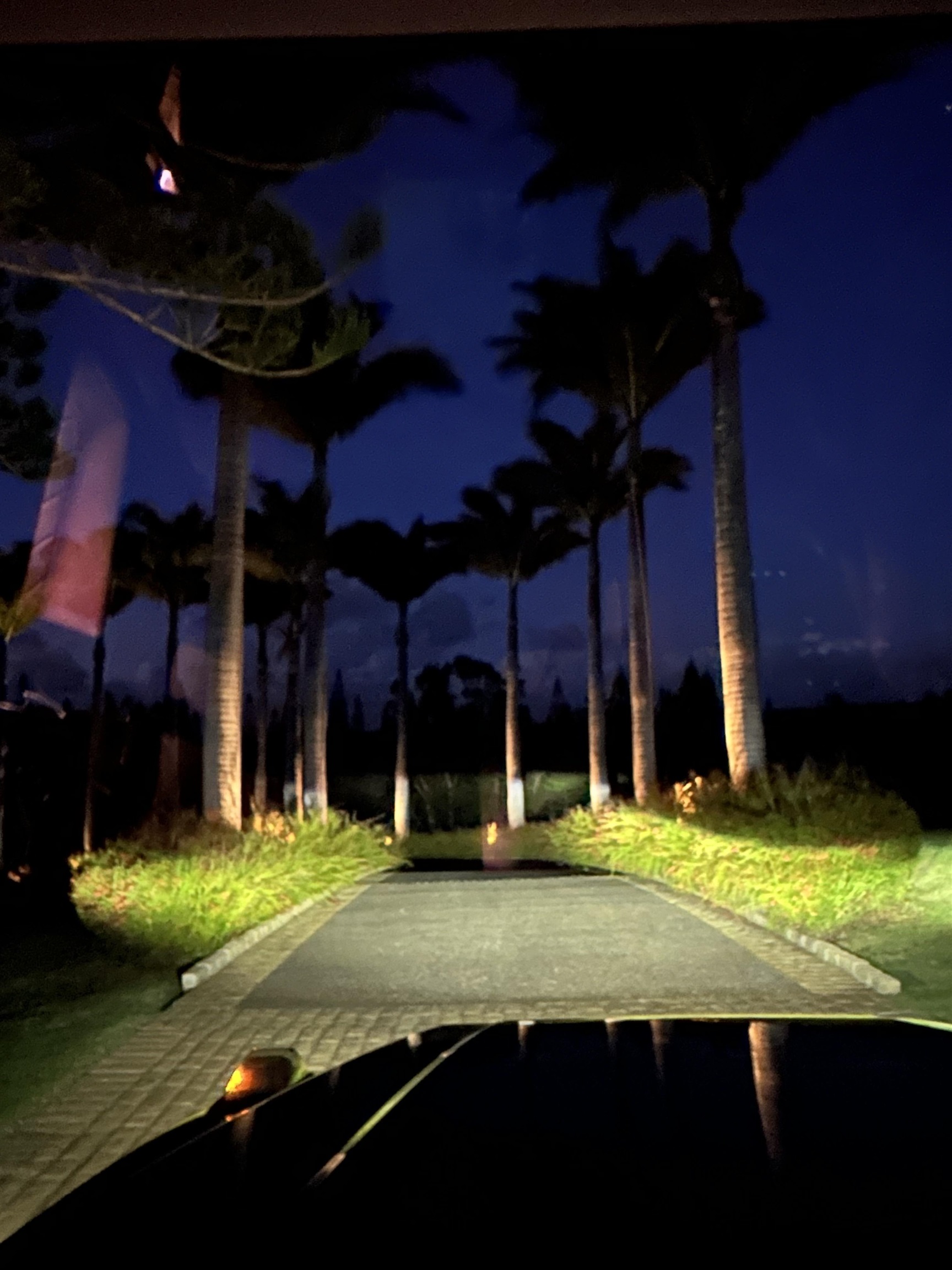 215  Plantation Club Dr Kapalua, Kapalua home - photo 50 of 50