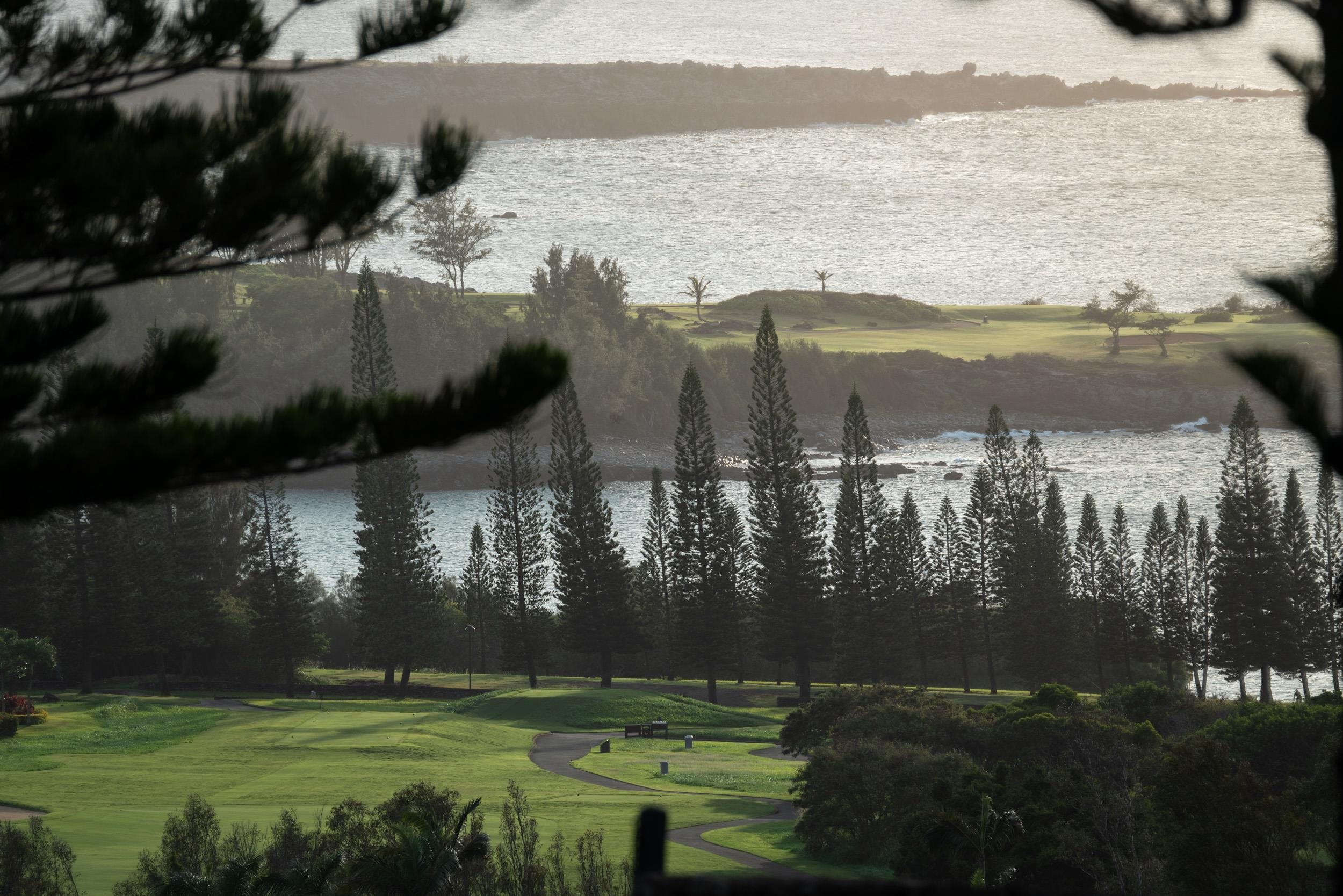 215  Plantation Club Dr Kapalua, Kapalua home - photo 42 of 50