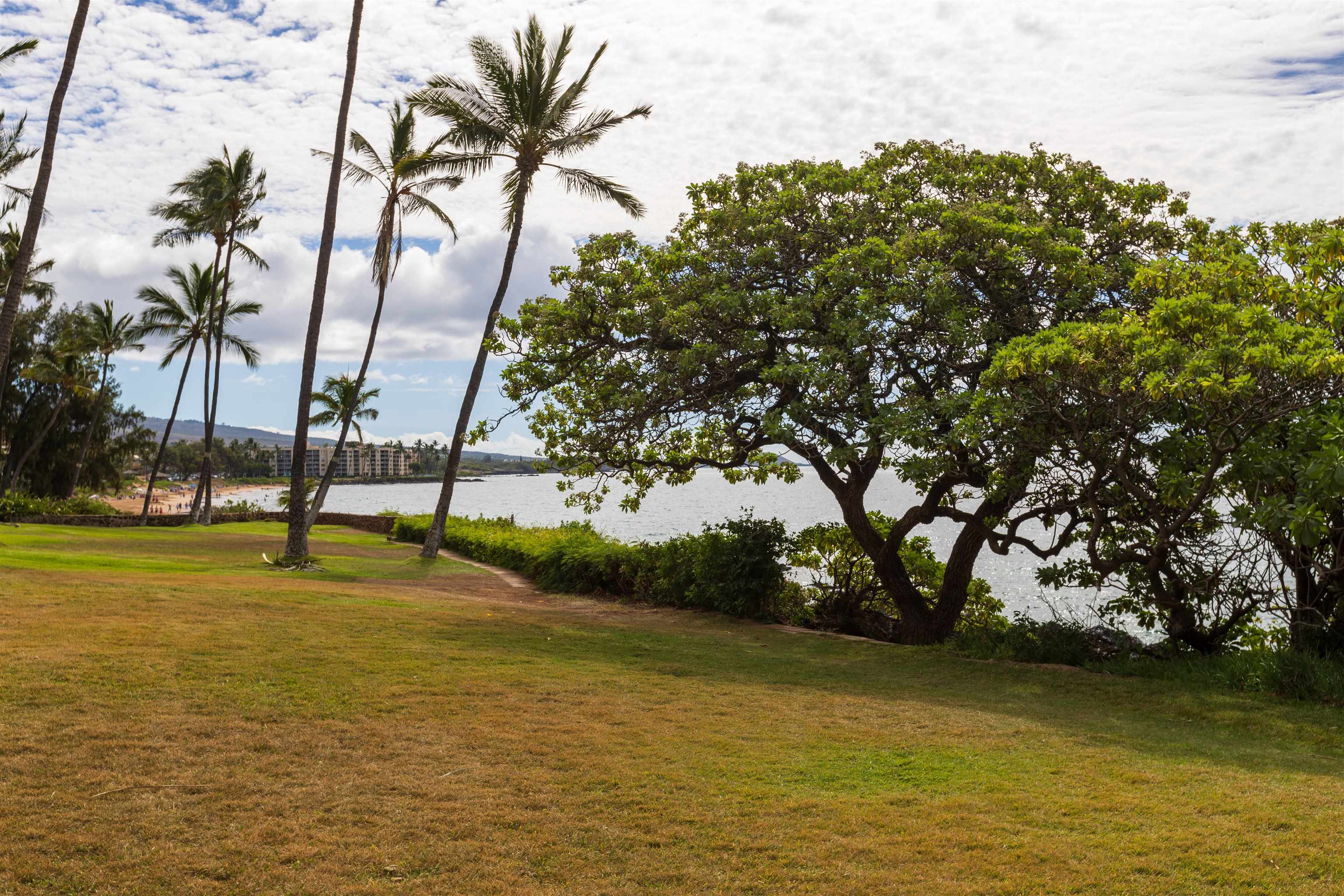 Loke Hale condo # 102, Kihei, Hawaii - photo 24 of 46
