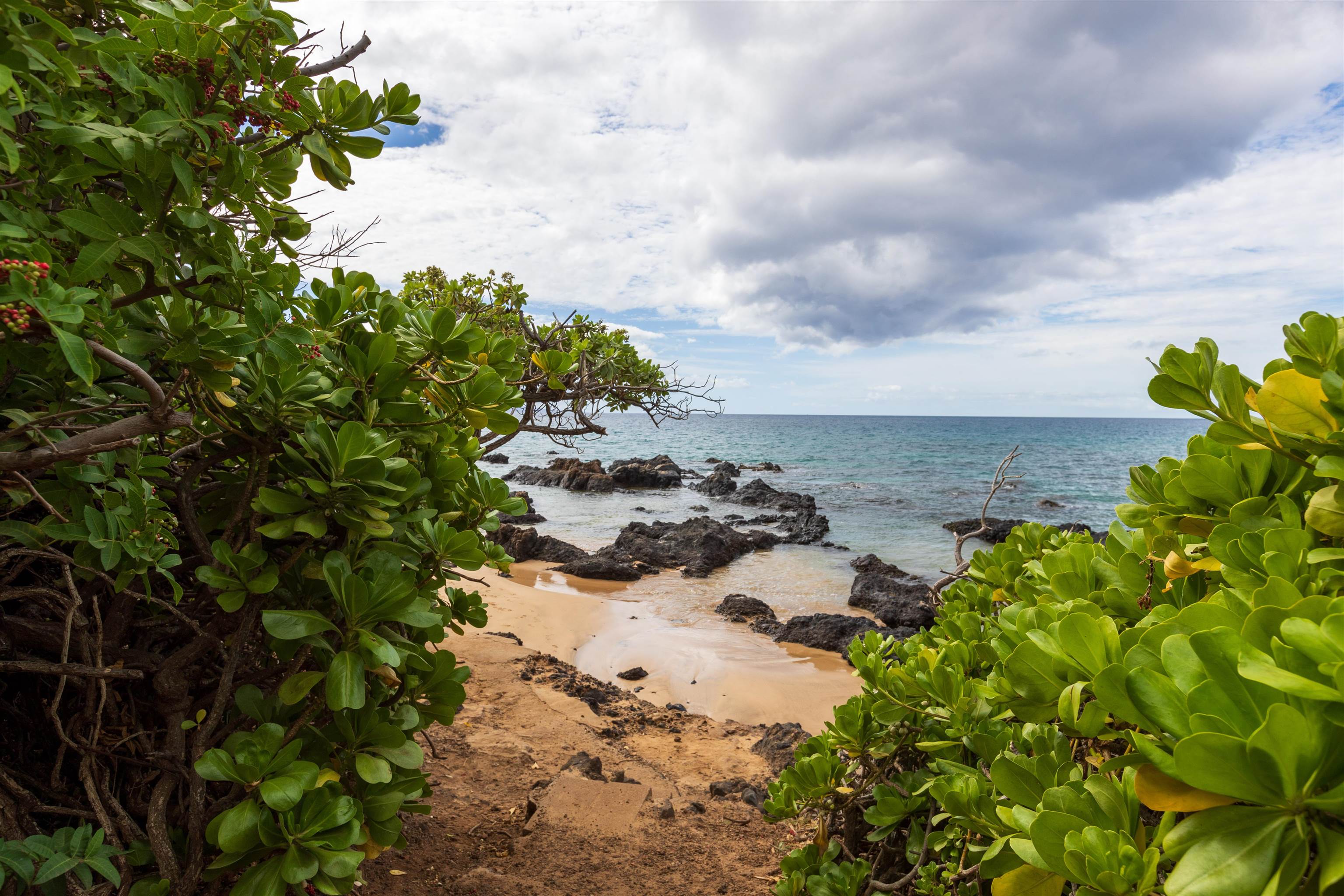 Loke Hale condo # 102, Kihei, Hawaii - photo 28 of 46