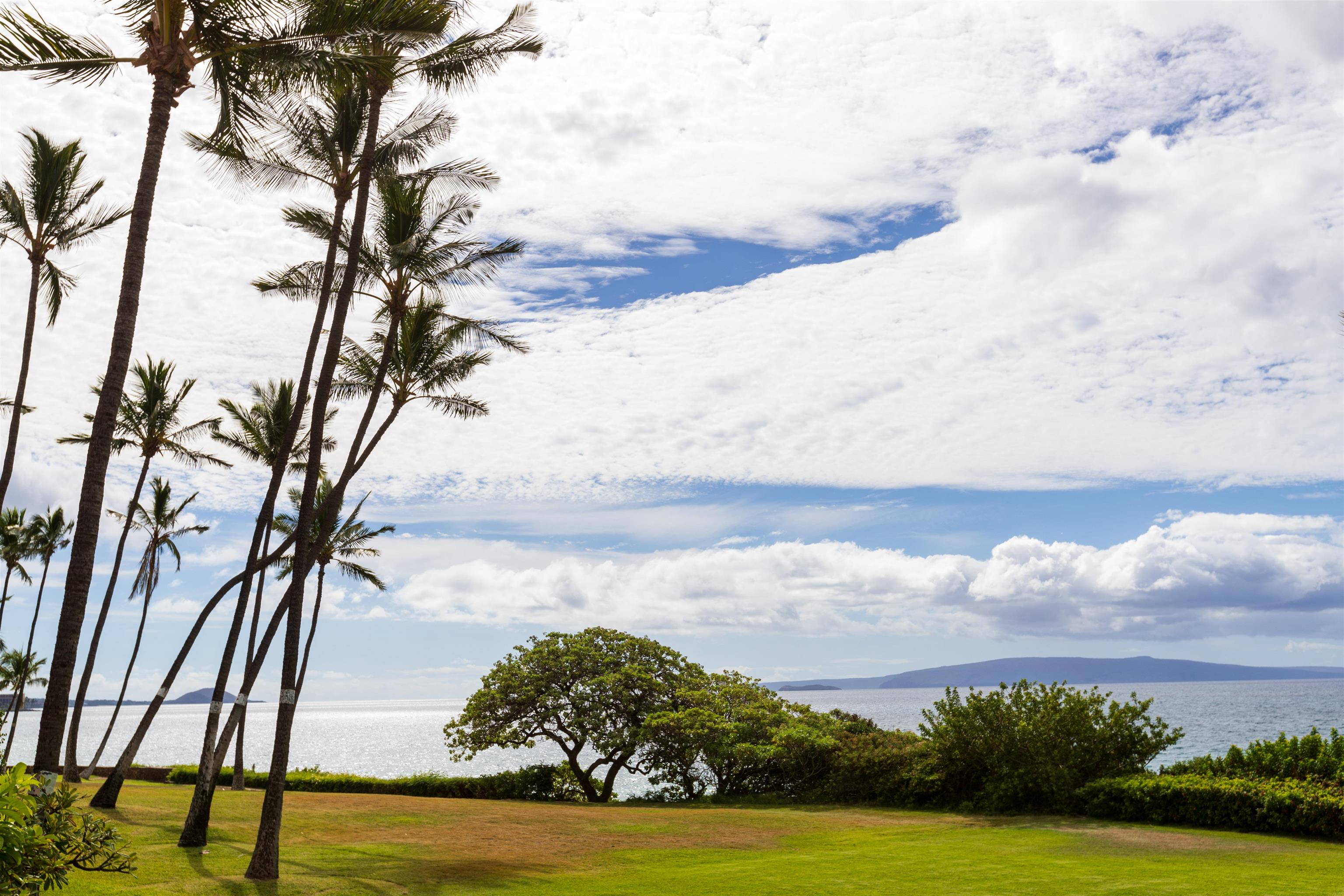 Loke Hale condo # 102, Kihei, Hawaii - photo 29 of 46