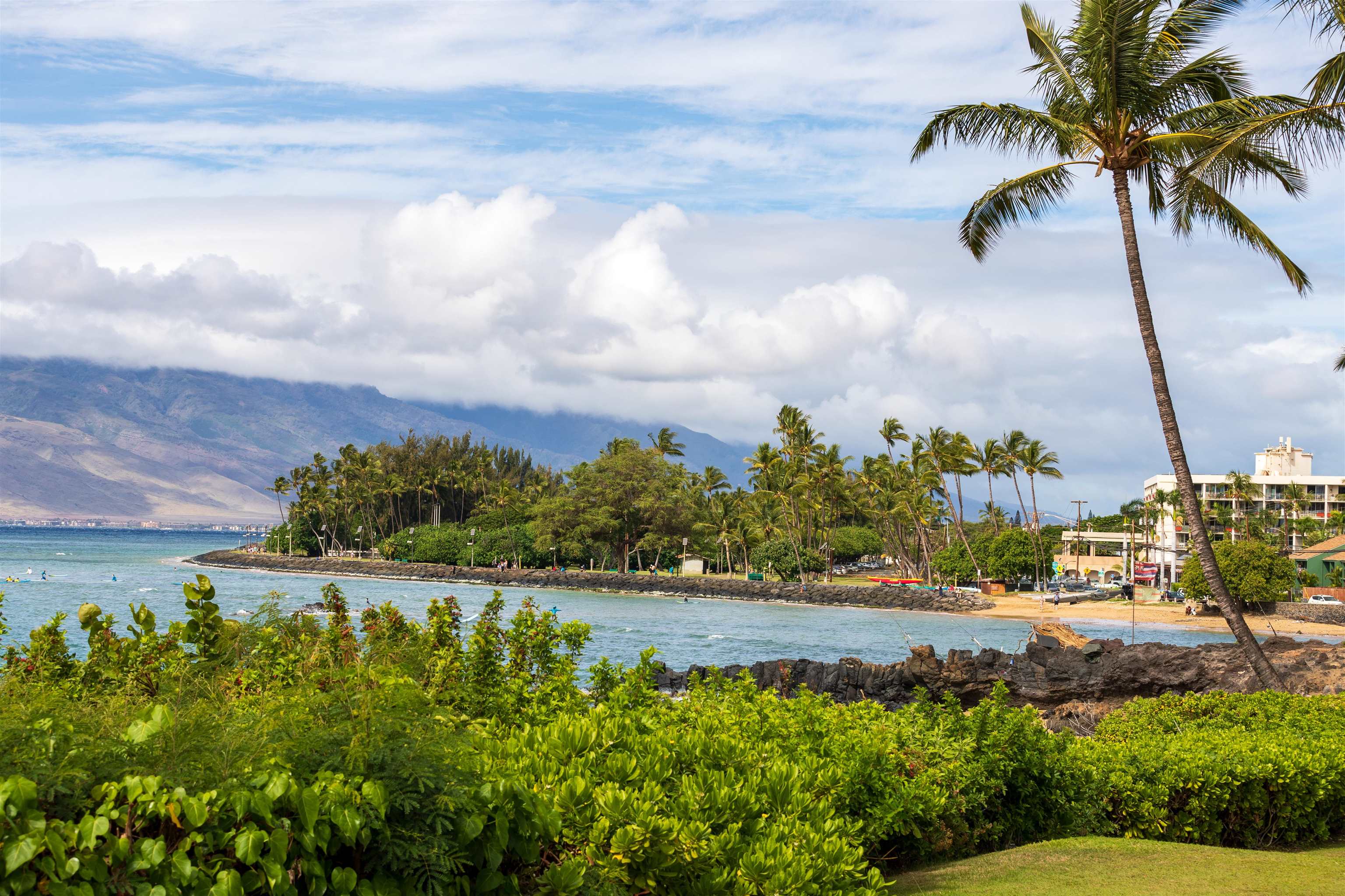 Loke Hale condo # 102, Kihei, Hawaii - photo 31 of 46