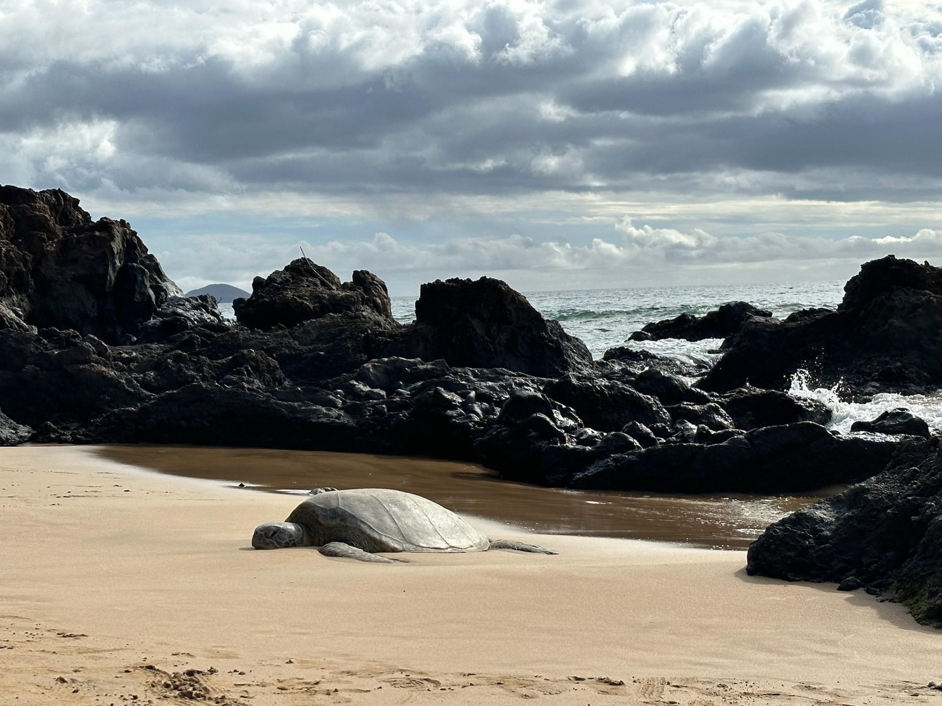 Loke Hale condo # 102, Kihei, Hawaii - photo 46 of 46