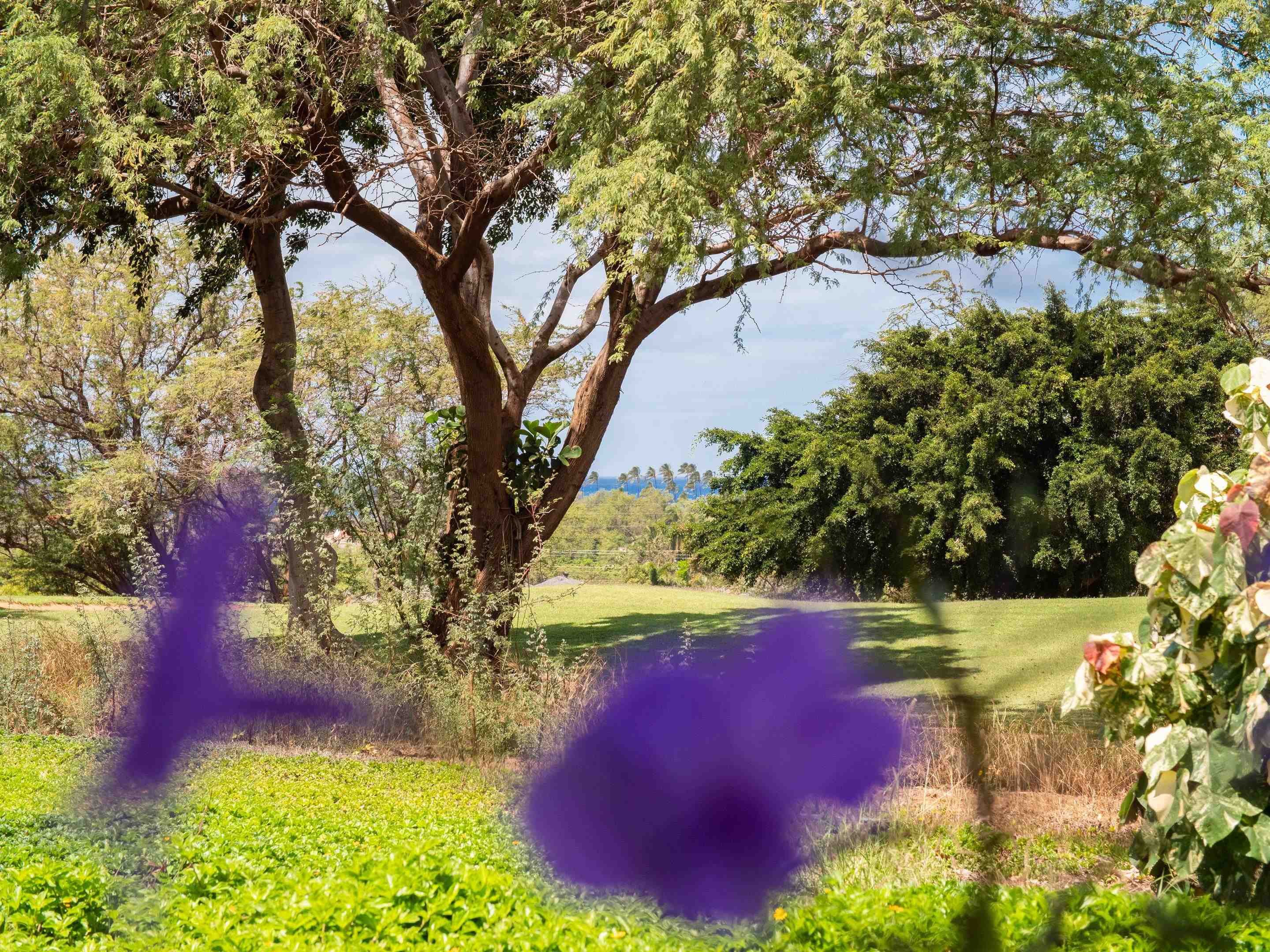 Hokulani Golf Villas condo # 73, Kihei, Hawaii - photo 23 of 30