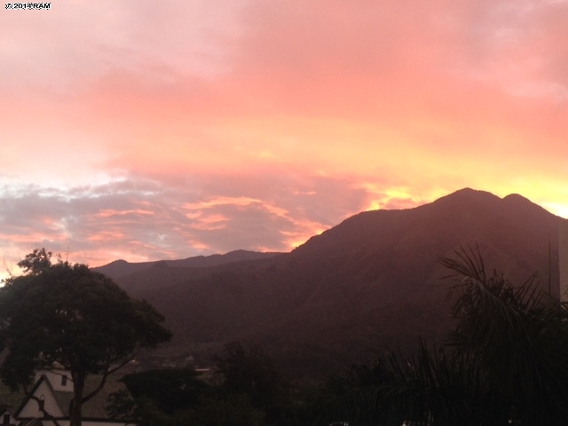 Wailuku Townhouses condo # 305, Wailuku, Hawaii - photo 15 of 16