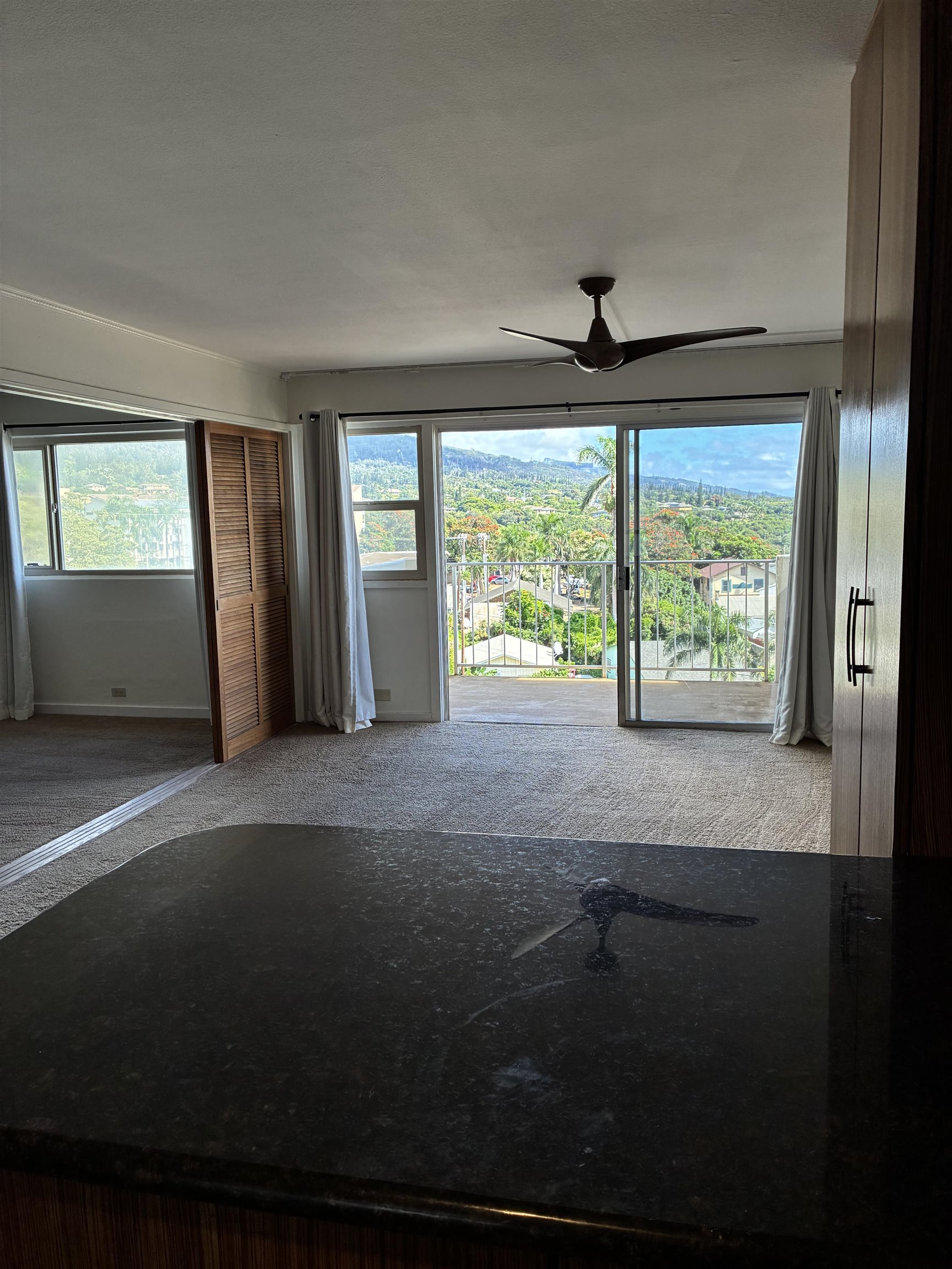 Wailuku Townhouses condo # 504, Wailuku, Hawaii - photo 3 of 6