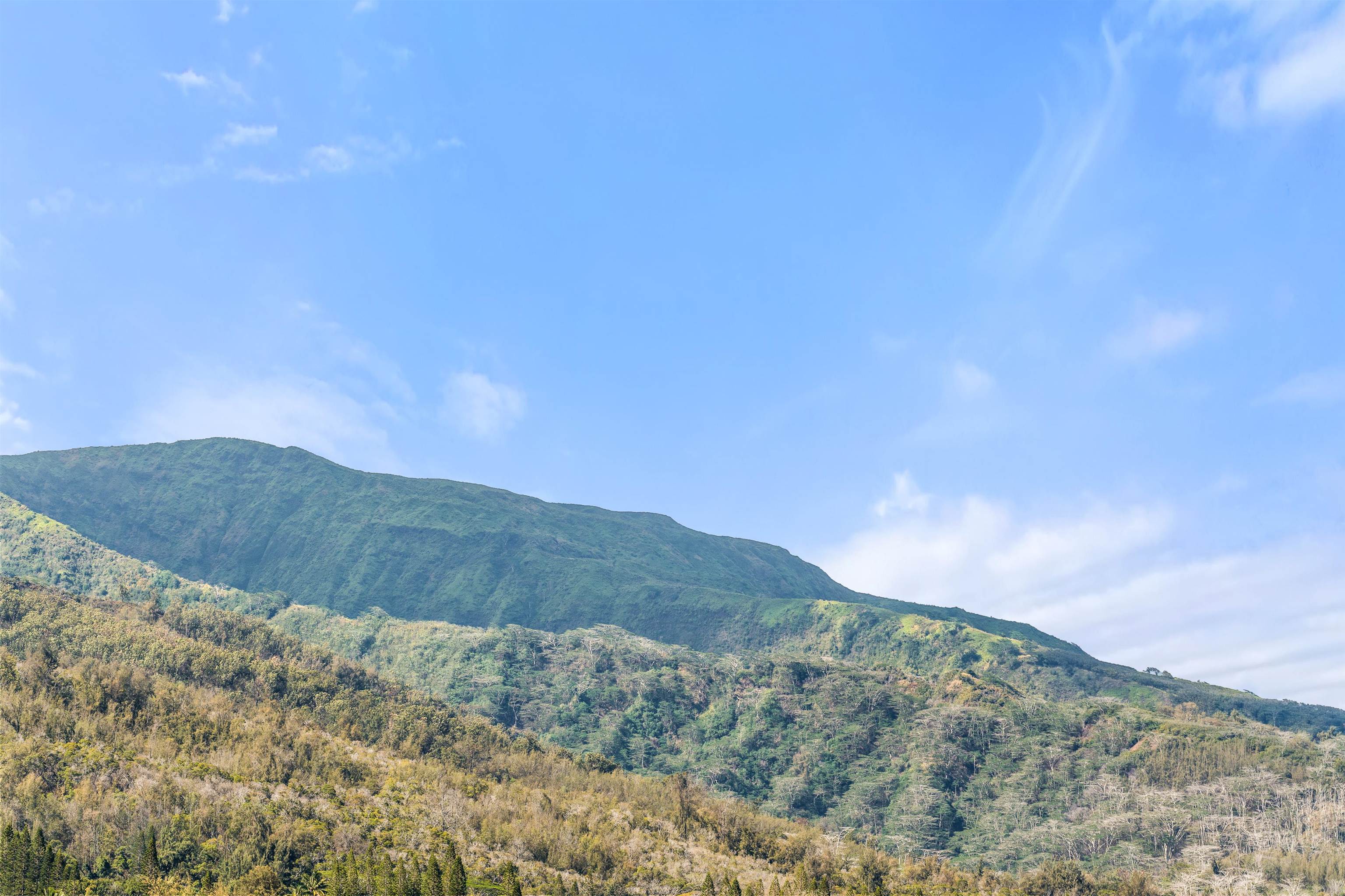 Wailuku Townhouses condo # 704, Wailuku, Hawaii - photo 16 of 32