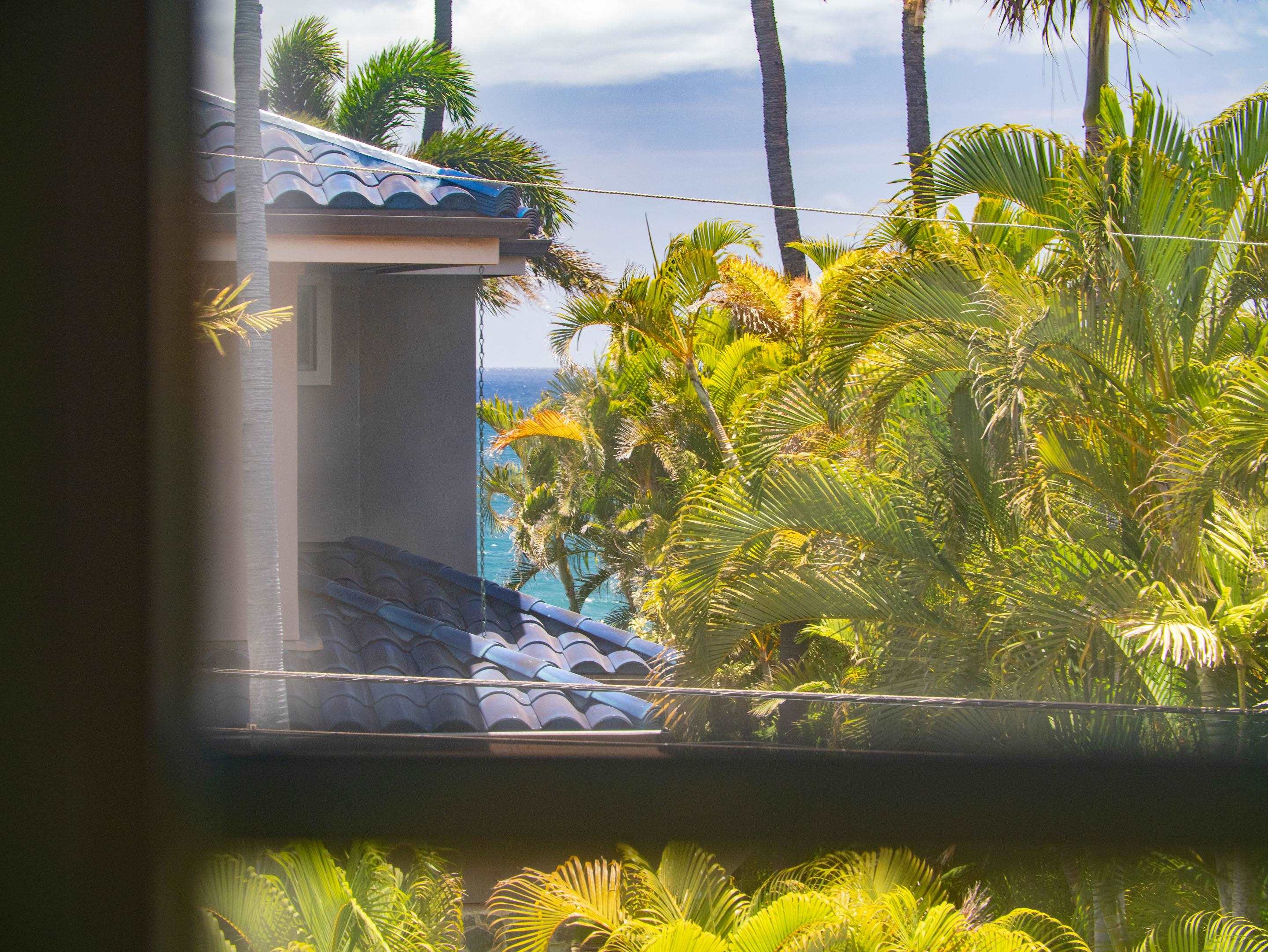 Hawealani Condominium condo # 202, Kihei, Hawaii - photo 16 of 30