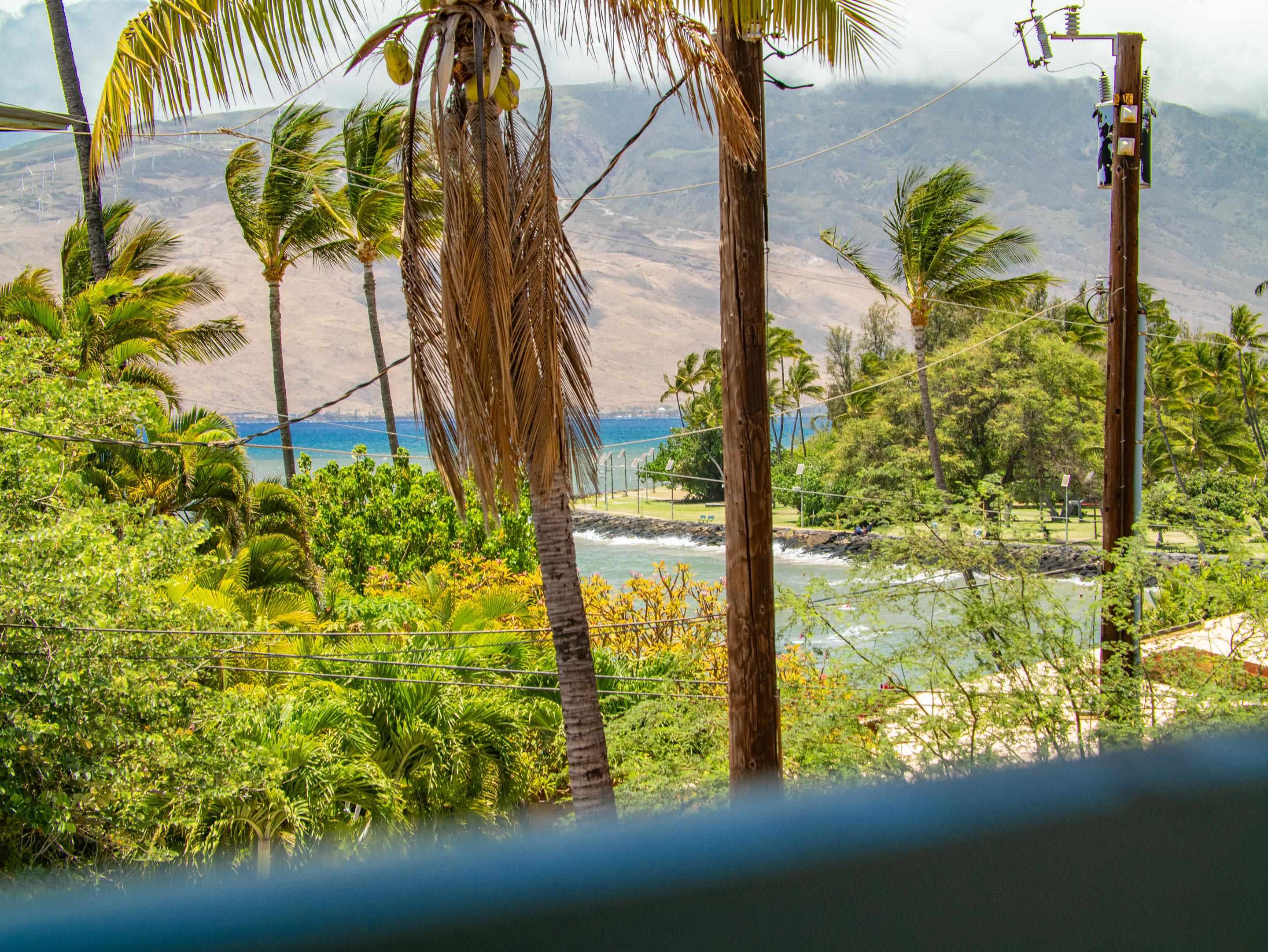 Hawealani Condominium condo # 202, Kihei, Hawaii - photo 6 of 30